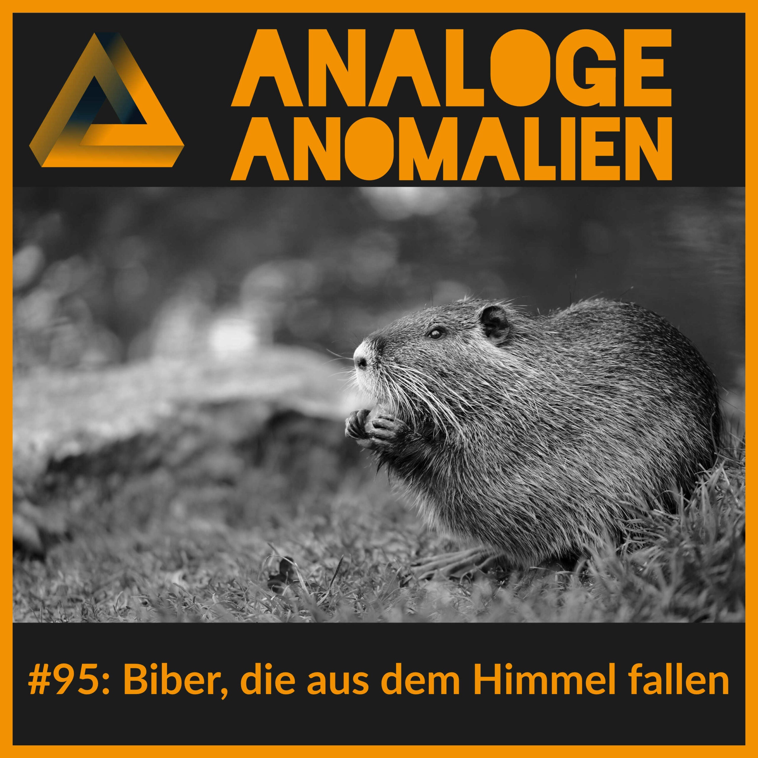 #95: Biber, die aus dem Himmel fallen (Analoge Anomalien #5)