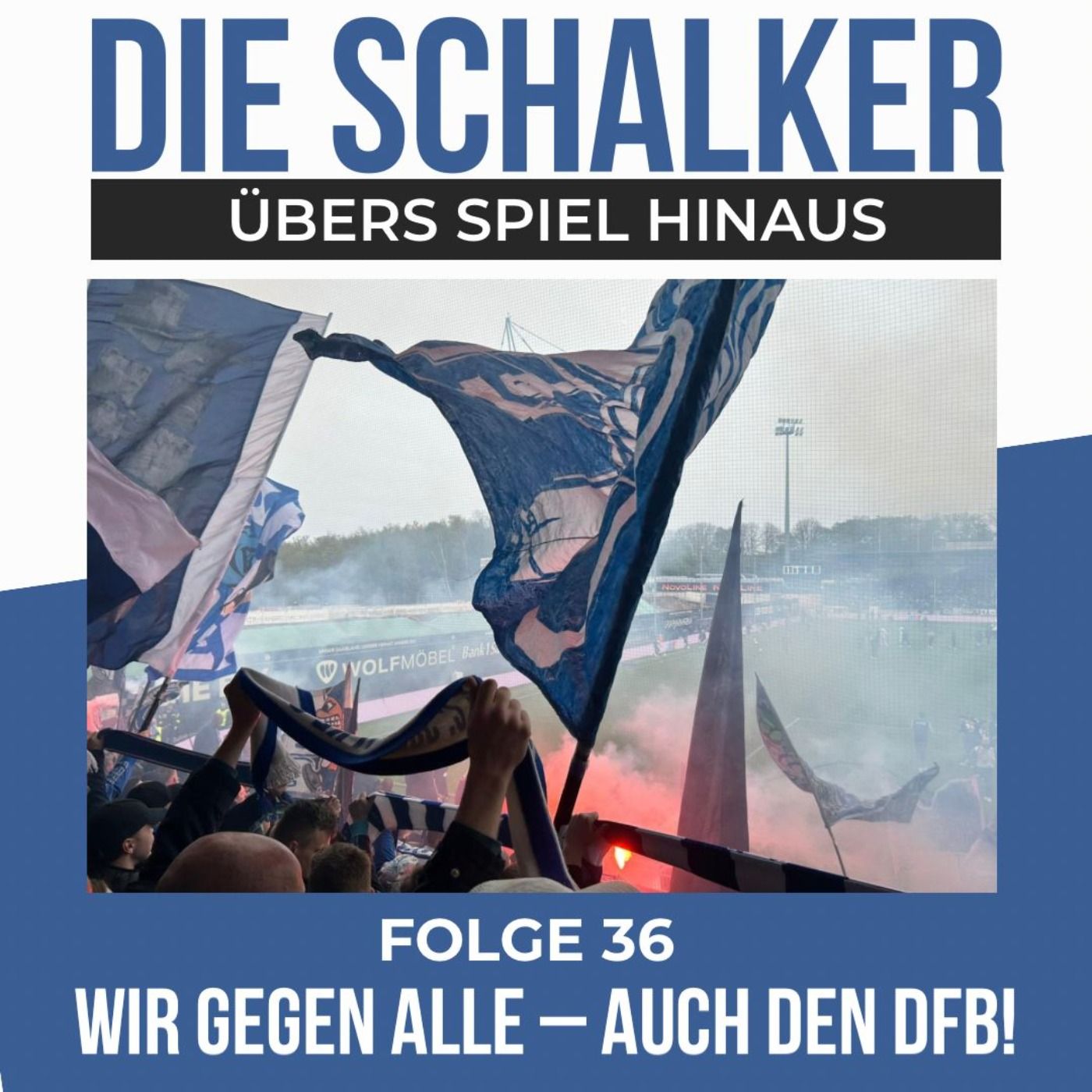Wir gegen ALLE - auch den DFB! Schalke gewinnt in Elversberg