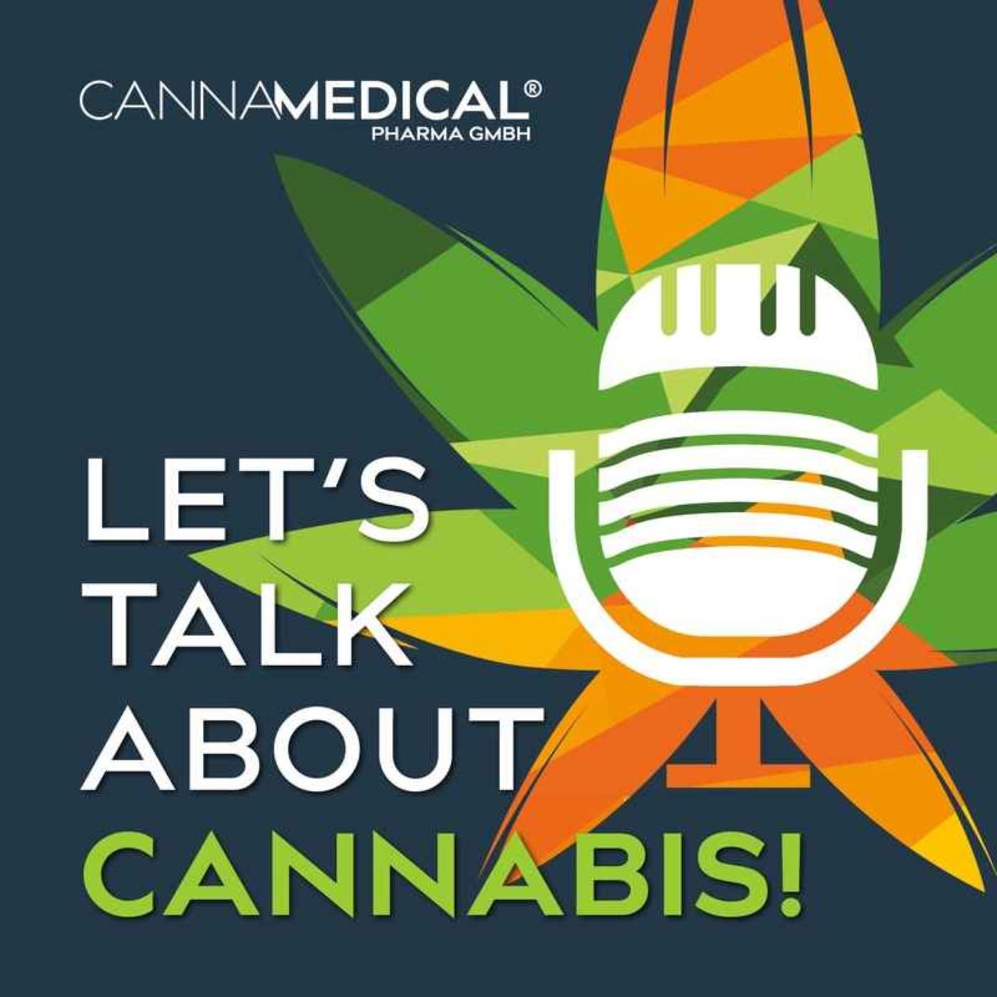 #7 Polizeigewerkschafter Rainer Wendt: Bitte nicht auch noch Cannabis legalisieren!