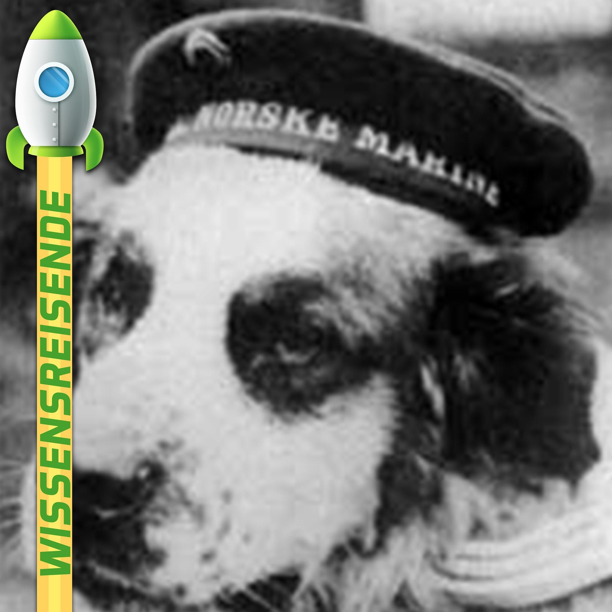 WR025 - Schiffshund Bamse: Ein Held auf vier Pfoten