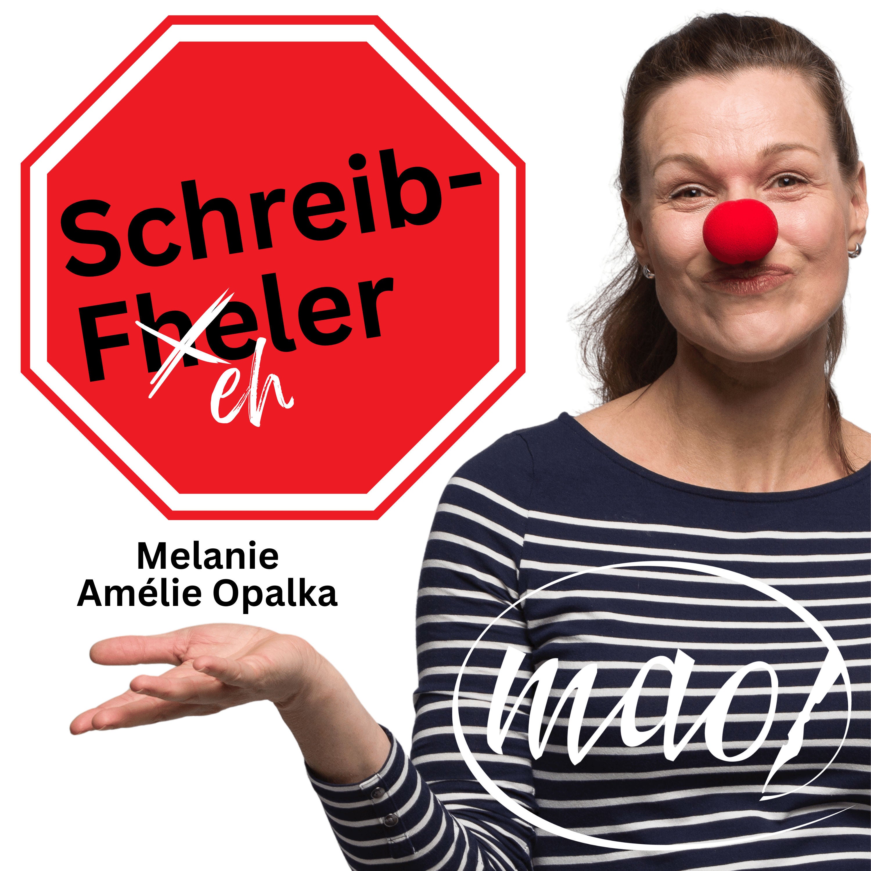 SchreibFehler