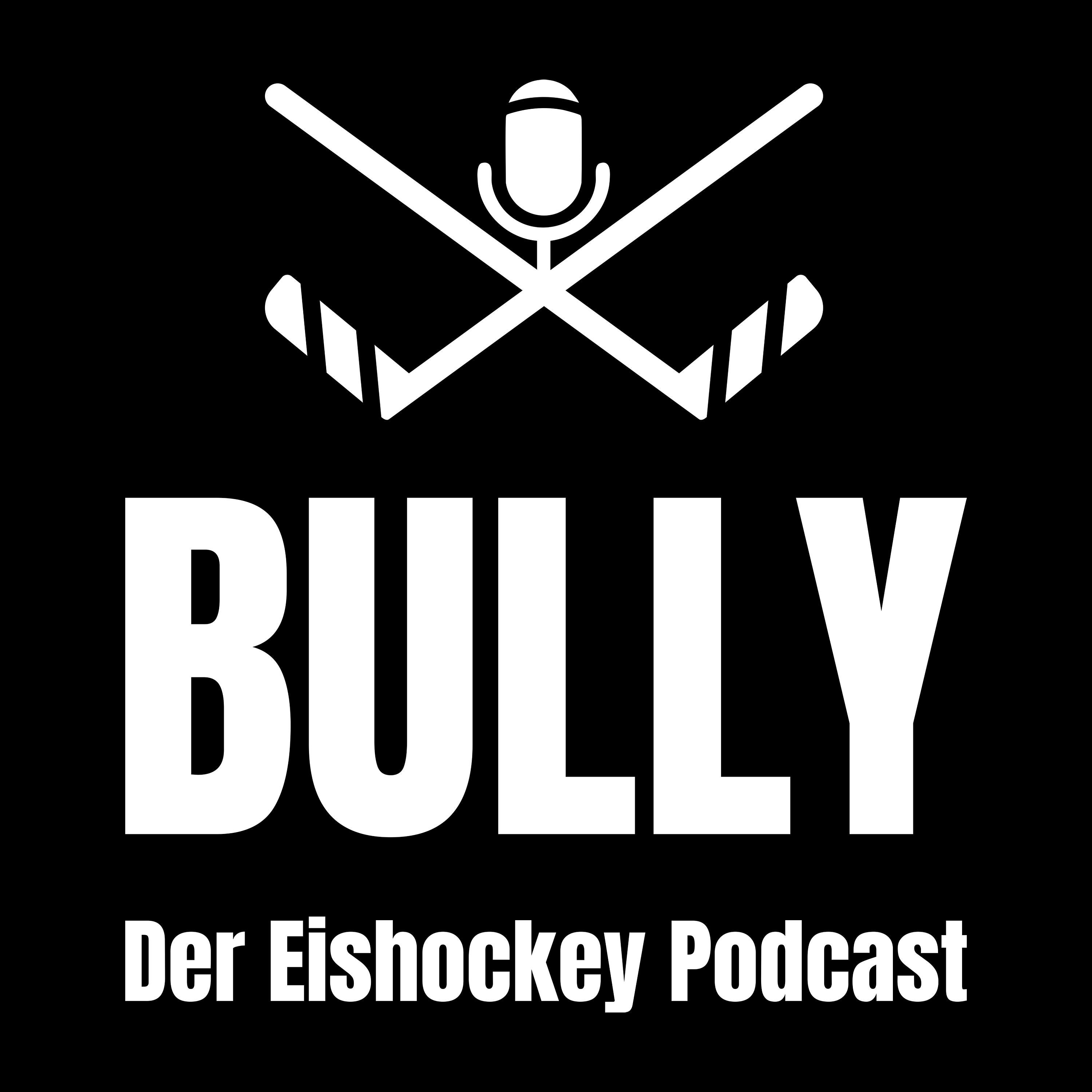Bully #001
