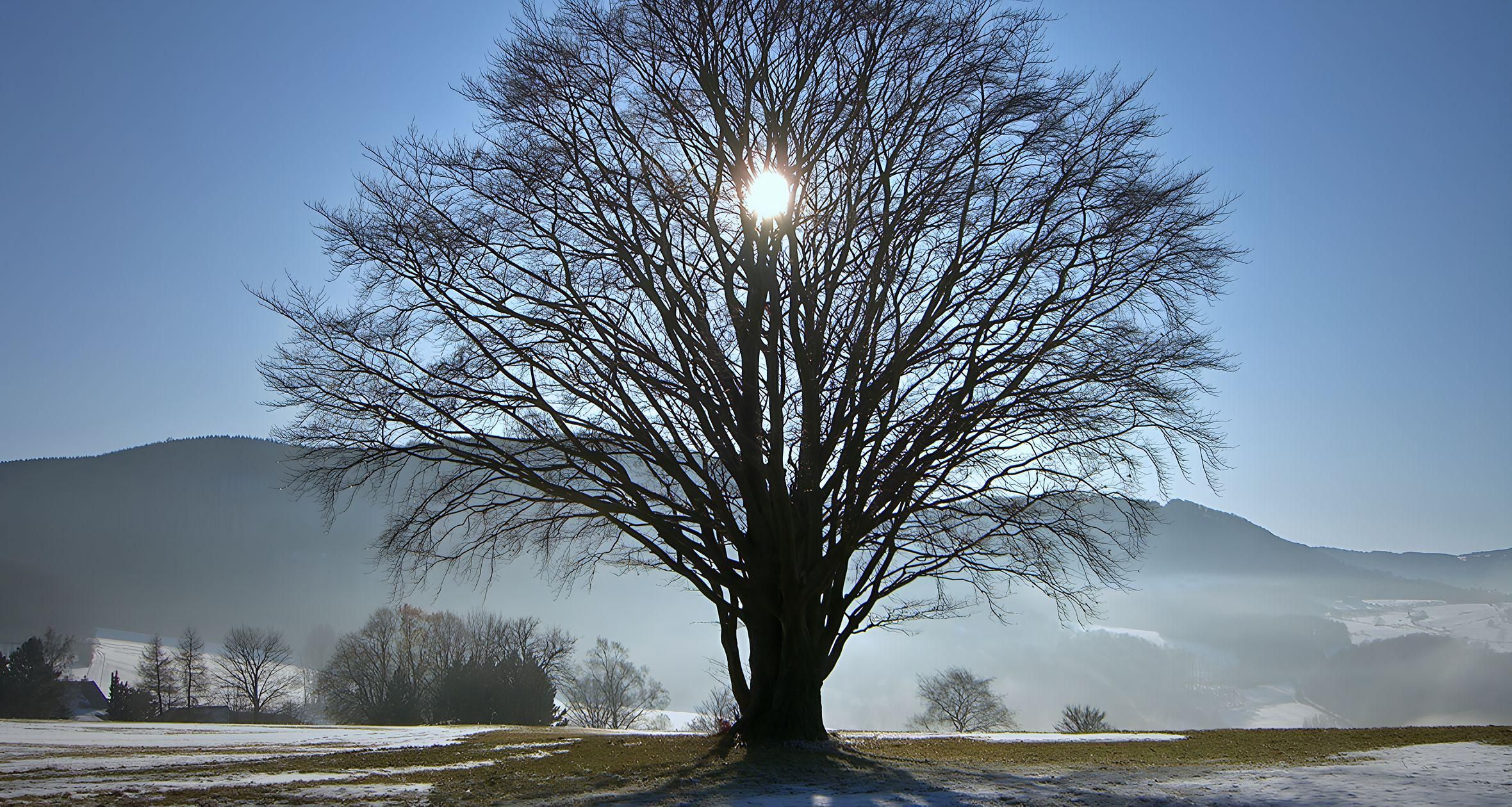 Die Rauhnächte: Mystische Zeit zwischen Wintersonnenwende und Jahresbeginn