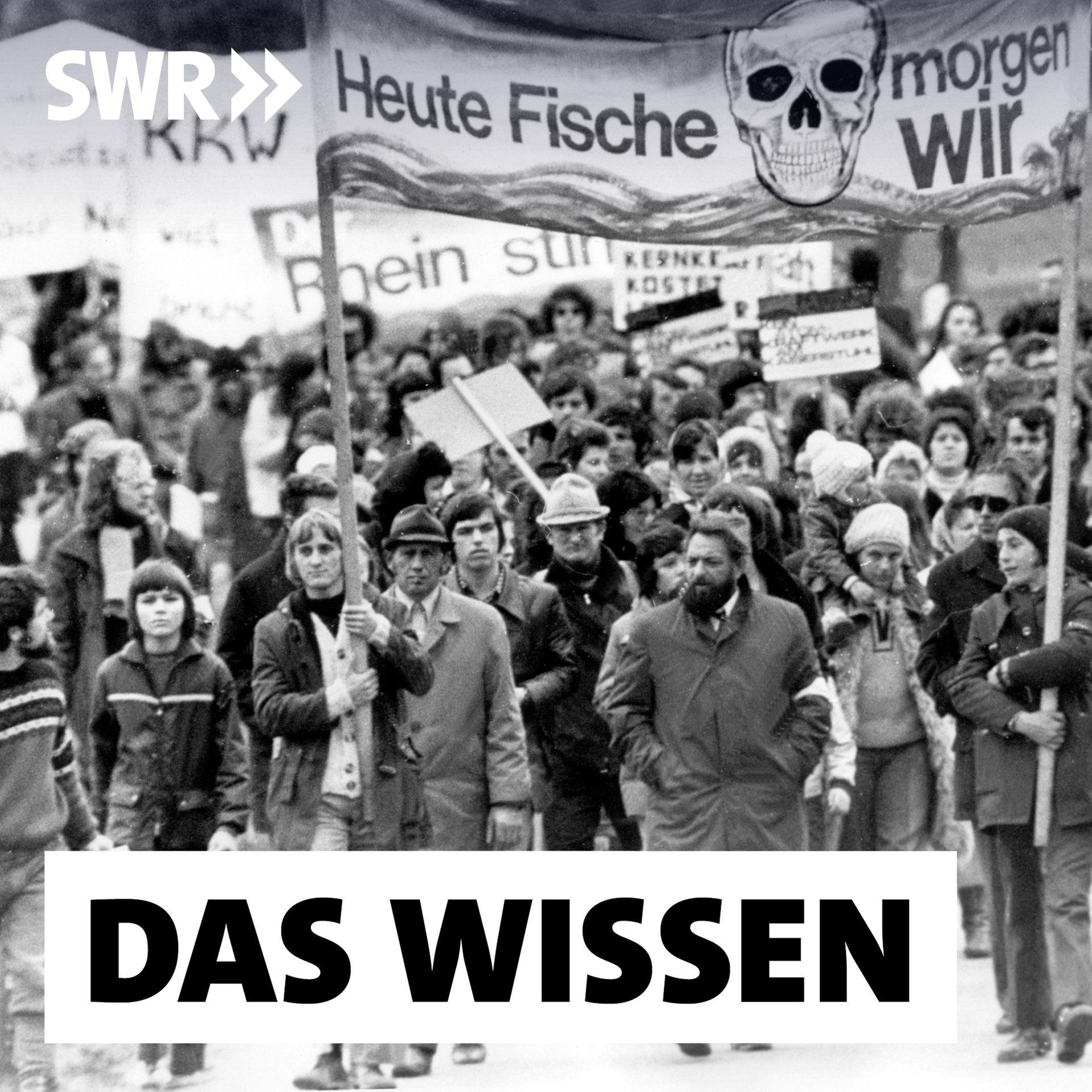 Vom Widerstand zum Atomausstieg – Die Epoche der Kernenergie in Deutschland (2/2)