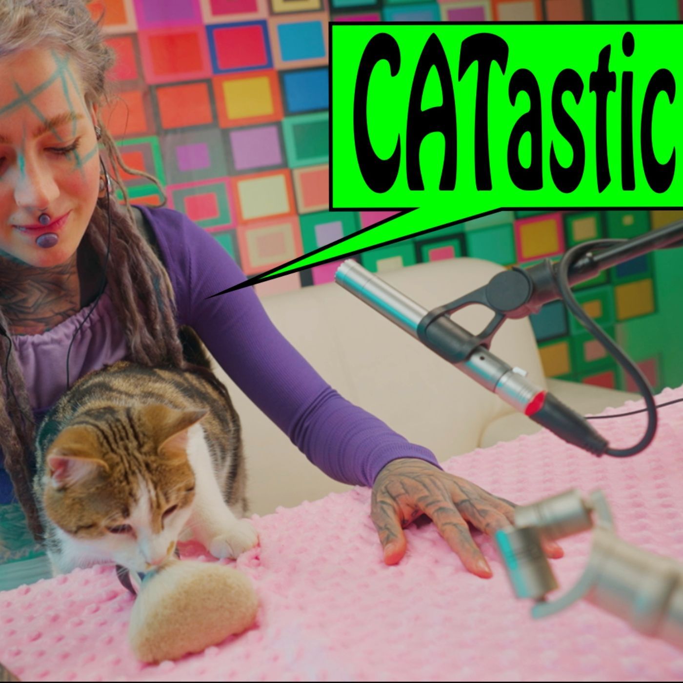 Microphone brush with my cat together ASMR - Anuskatzz