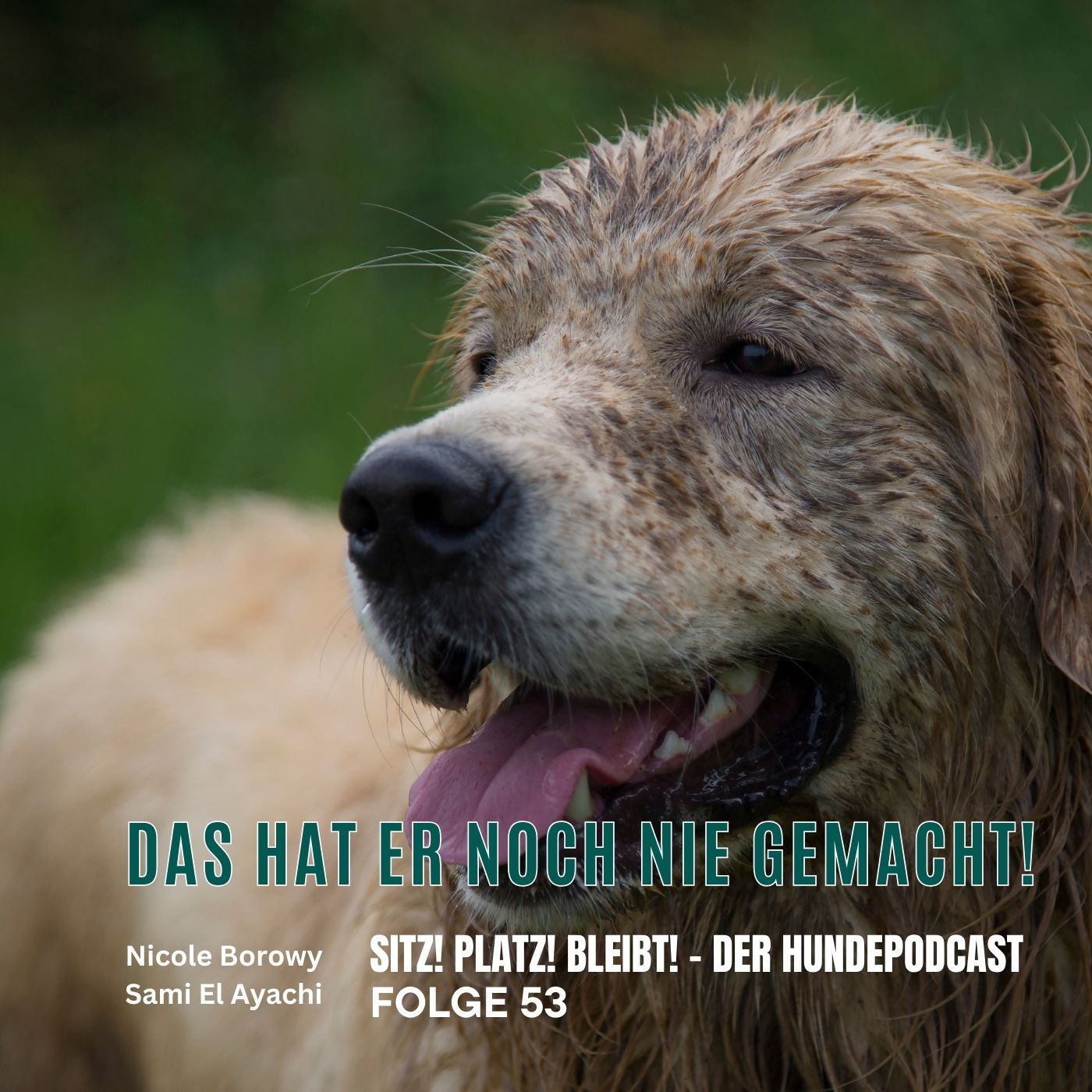 #53 Das hat er noch nie gemacht - was du jetzt wirklich tun solltest!