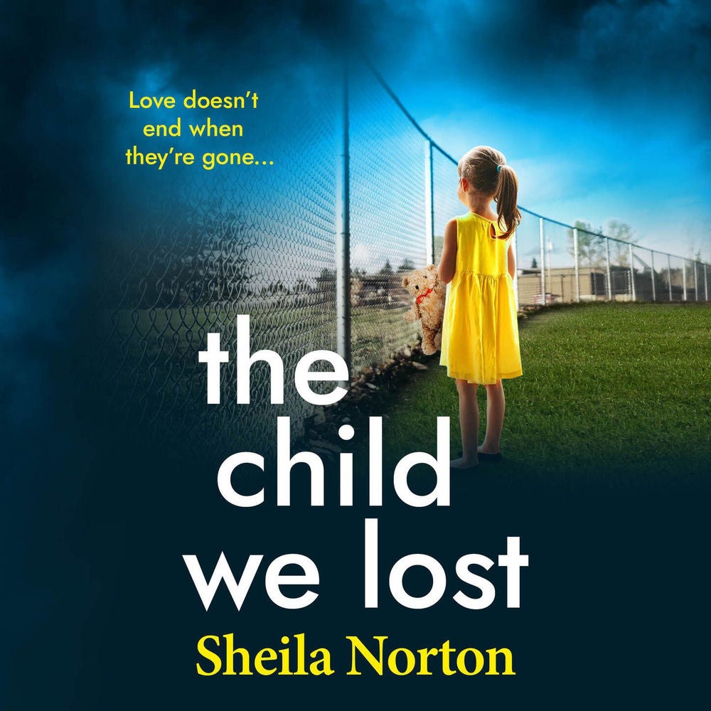 The Child We Lost - The BRAND NEW page-turning emotional family drama from Sheila Norton