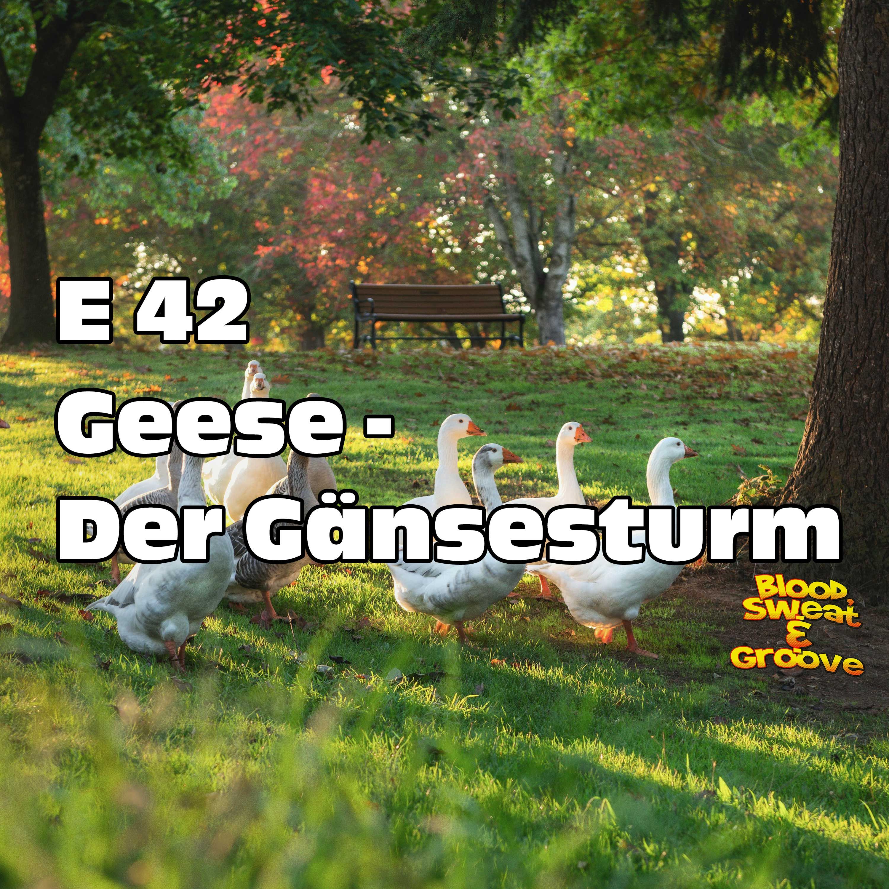 E 42: Geese - Der Gänsesturm