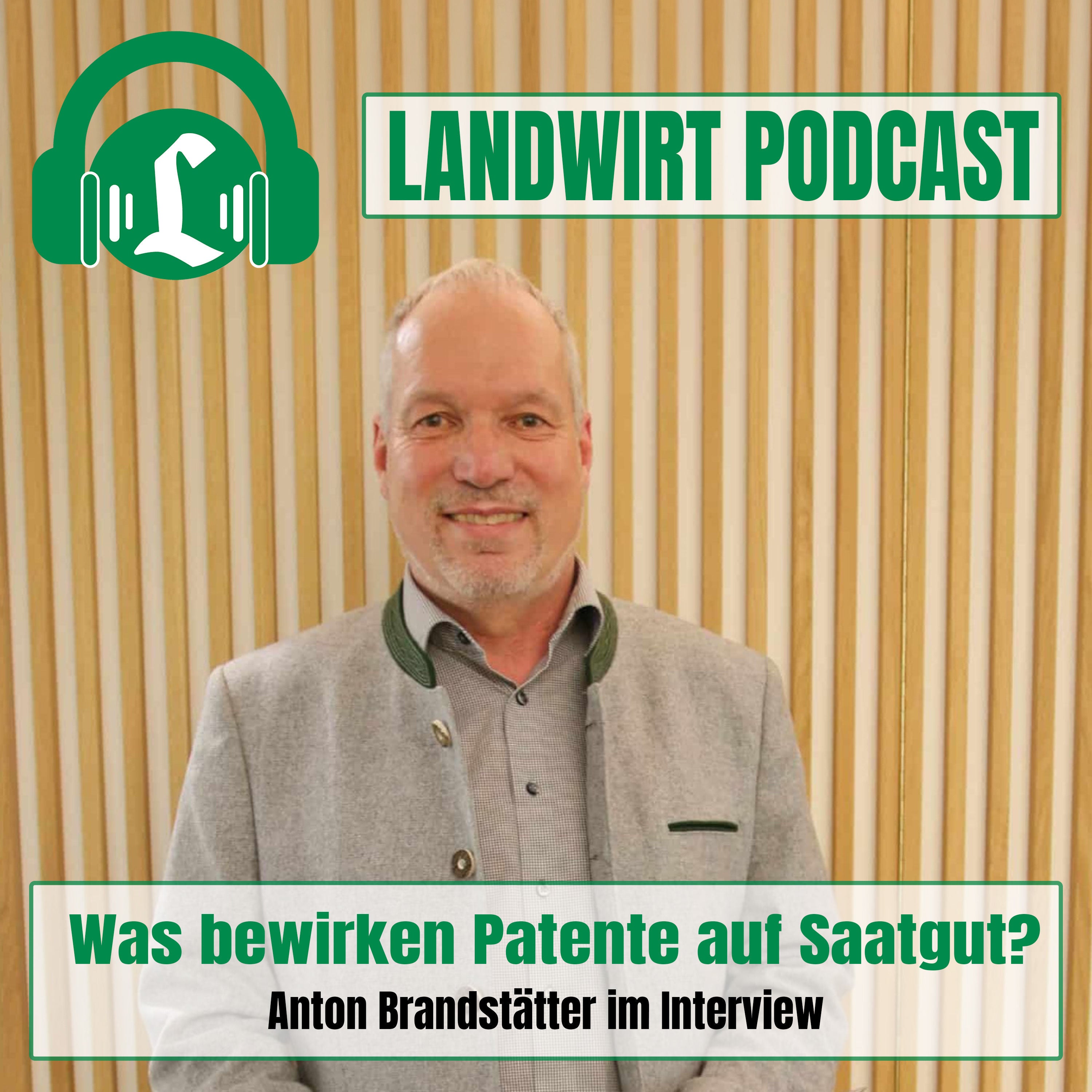 Was bewirken Patente auf Saatgut?