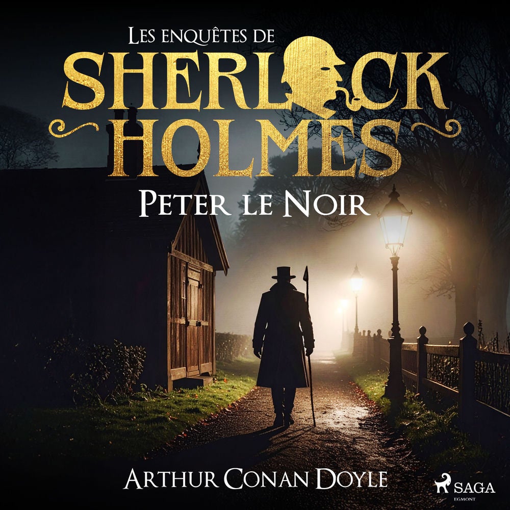 Peter le Noir