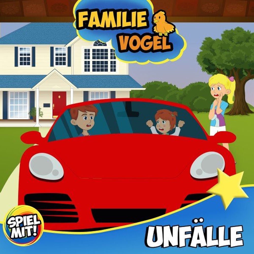 Unfälle bei Familie Vogel