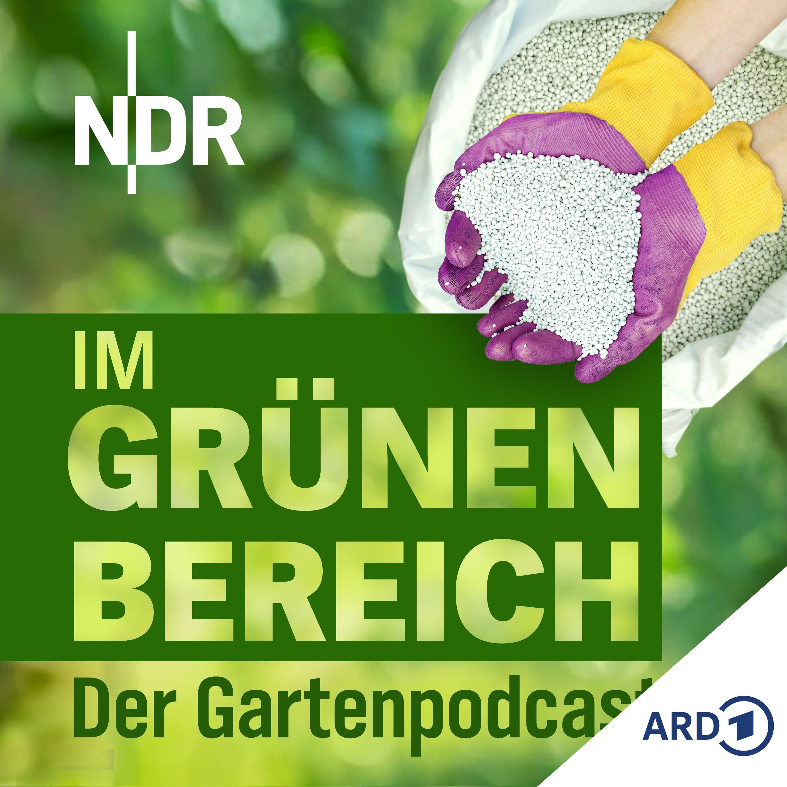 Richtig düngen: Tipps für gesunde Pflanzen