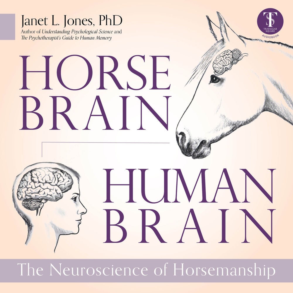 Horse Brain, Human Brain