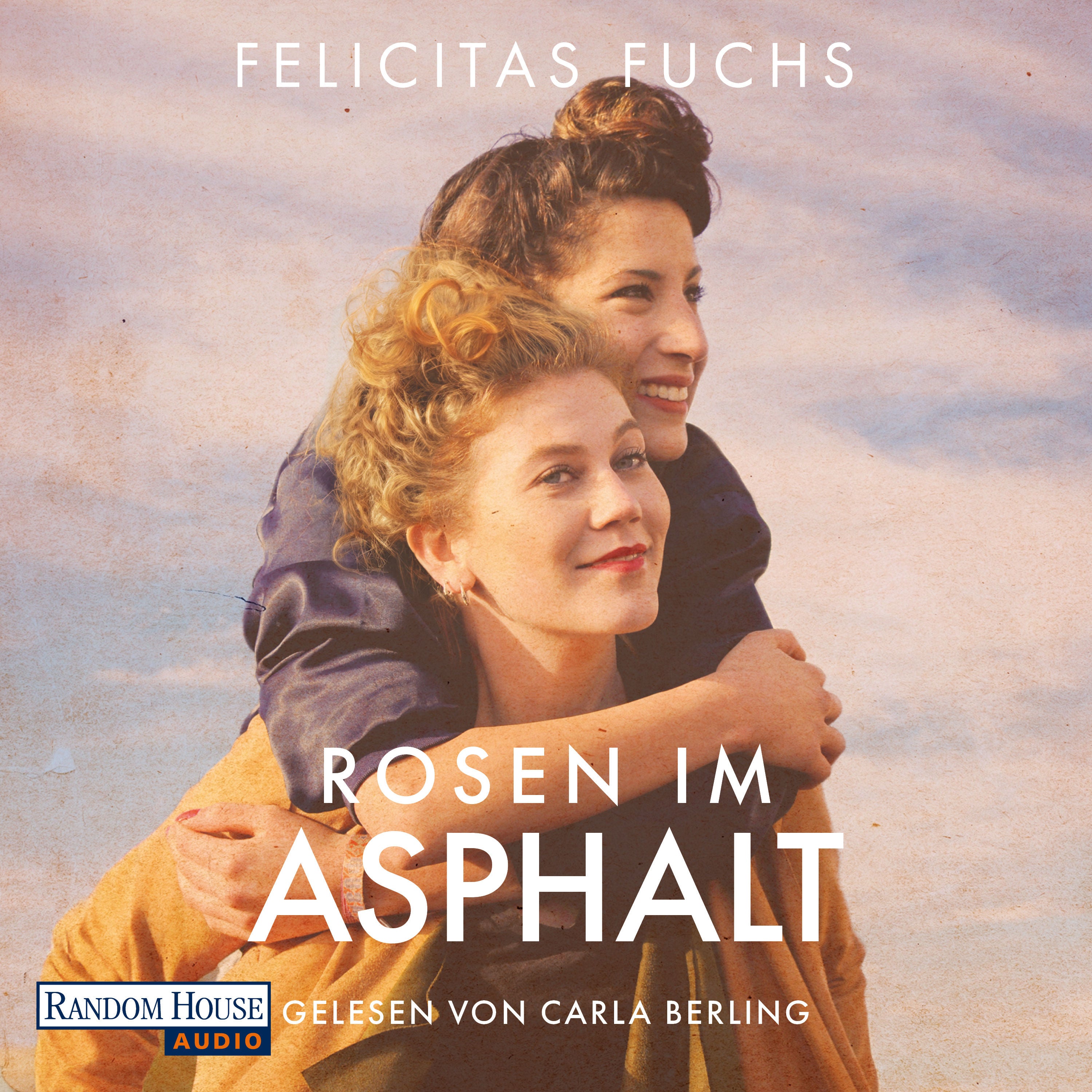 Rosen im Asphalt