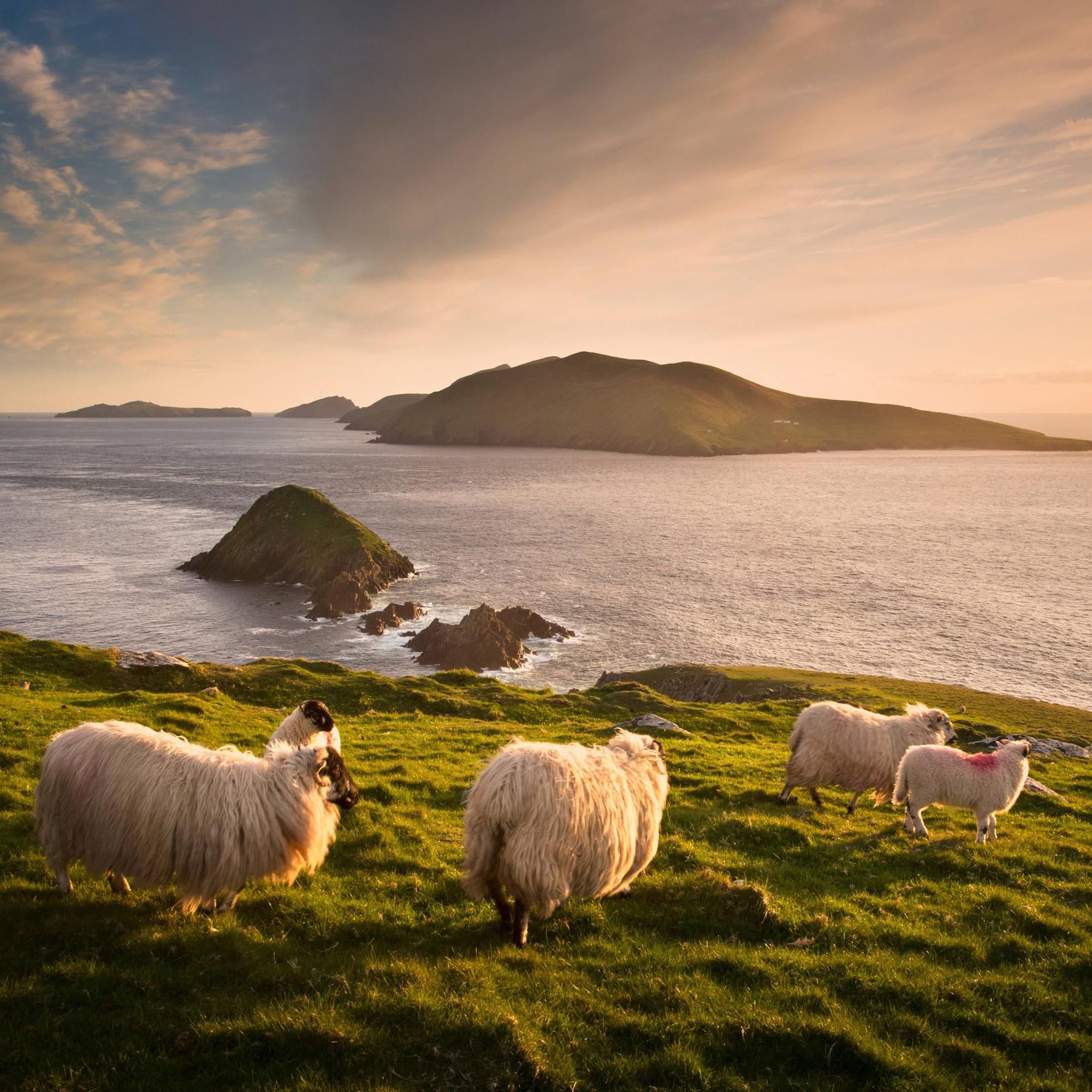Irland: Keltische Spuren, BR-Reise zu Halloween, einsame Blasket Islands