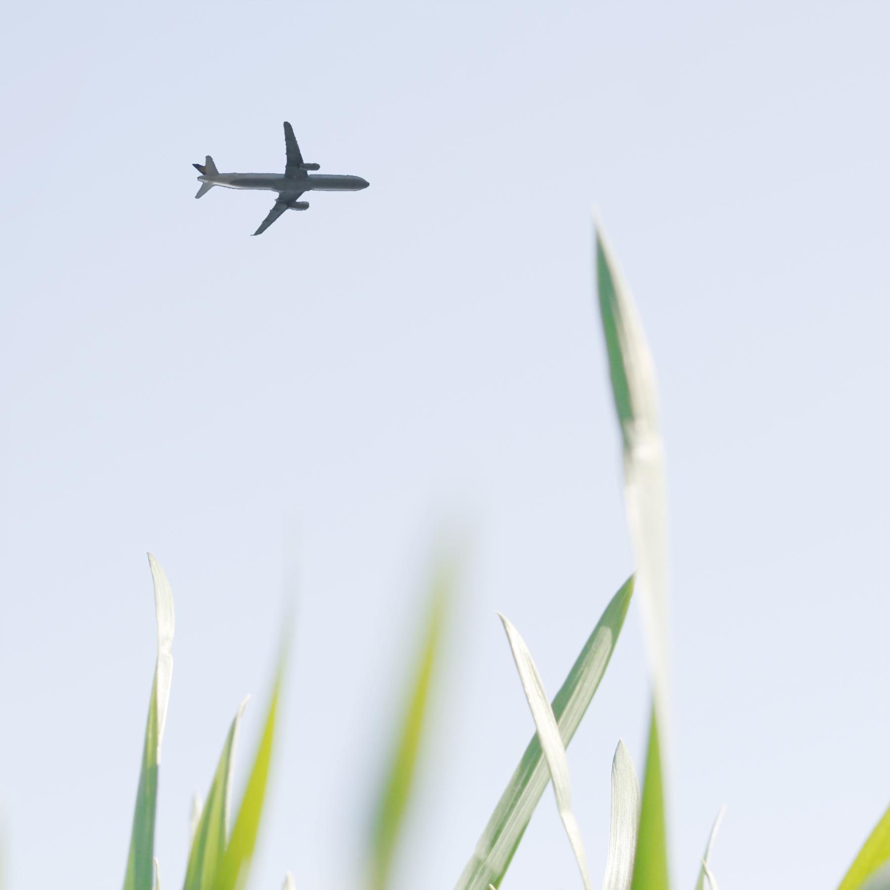 Grüner fliegen? - Wie Luftfahrt weniger klimaschädlich werden soll