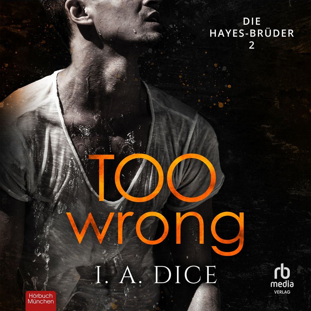 Too Wrong - Die Hayes-Brüder, Band 2