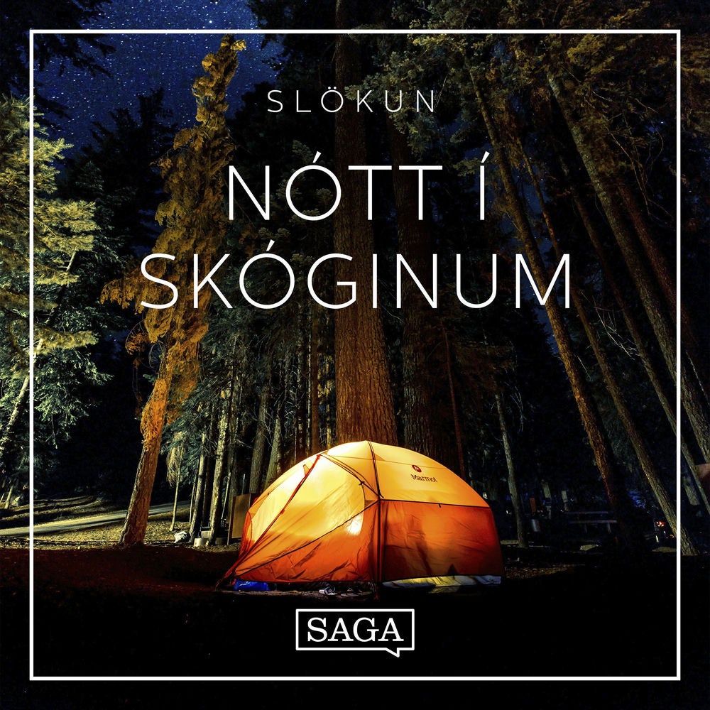 Nótt í skóginum