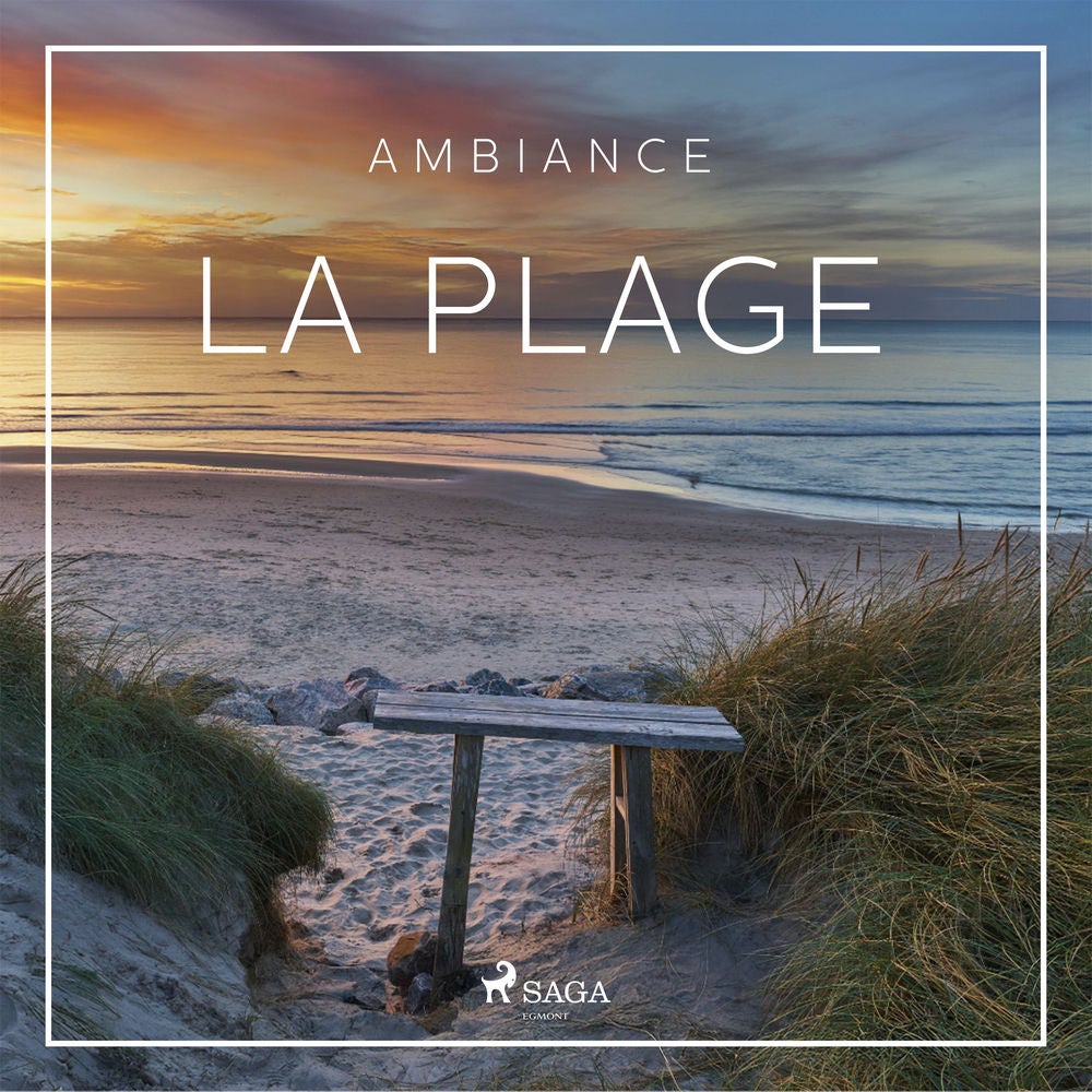 La plage - Soleil et embruns