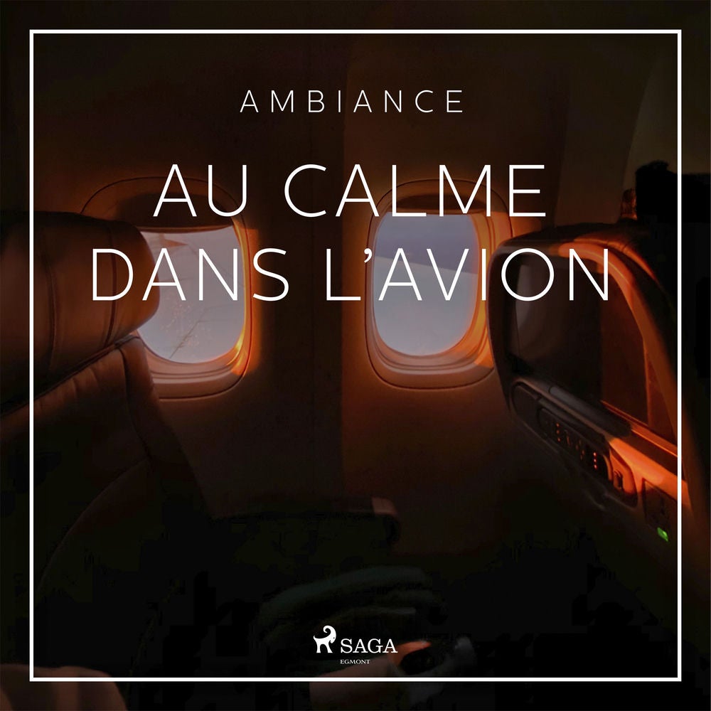 Au calme dans l'avion