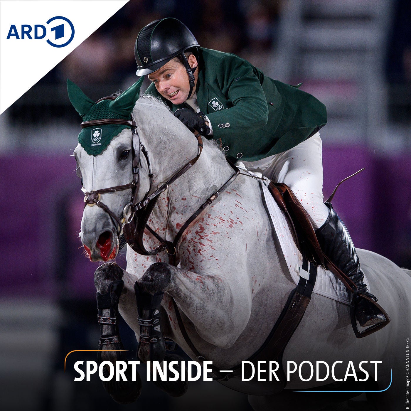 Reitsport in der Krise