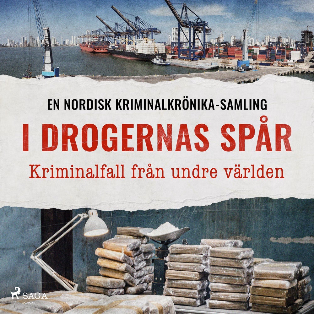 I drogernas spår – Kriminalfall från undre världen