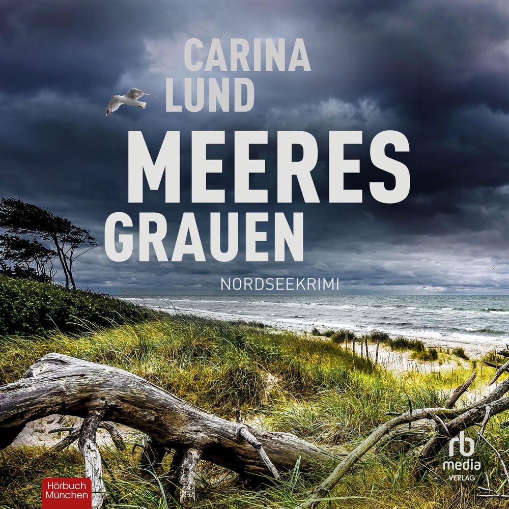 Meeresgrauen - Elin Bertram ermittelt, Band 3
