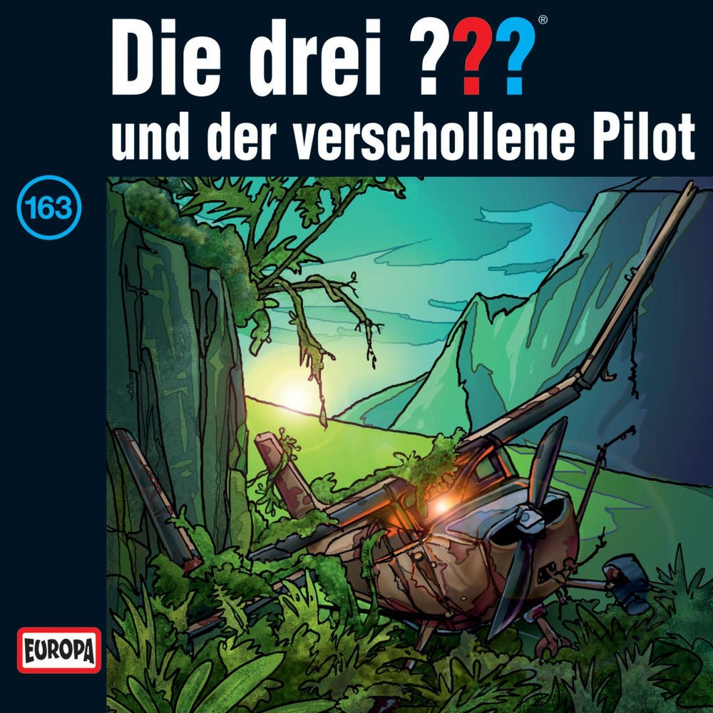163/und der verschollene Pilot