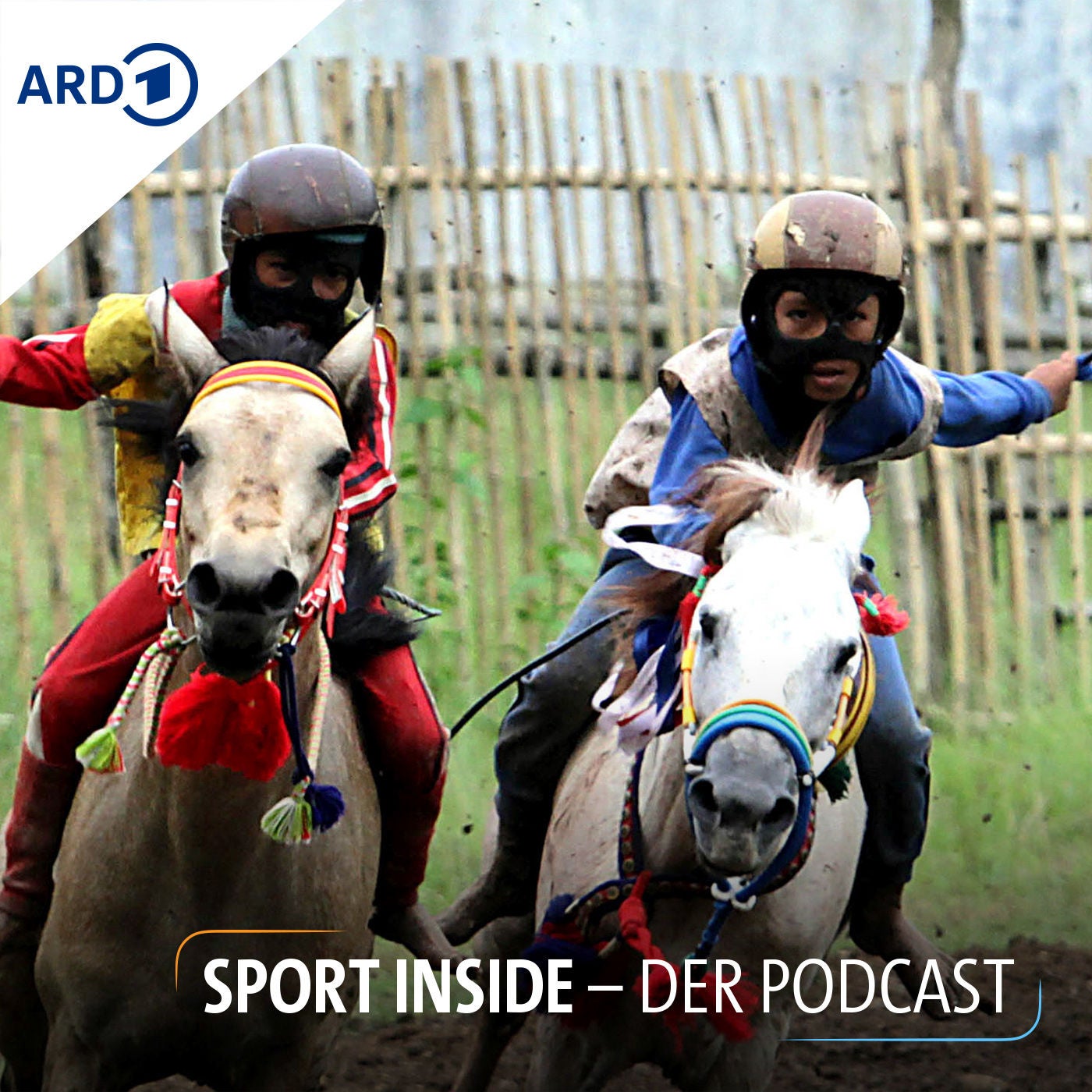 Das Schicksal der Kinderjockeys von Sumbawa