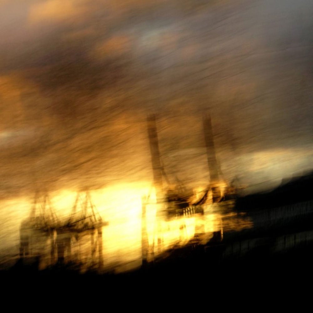 Sea of Disorder