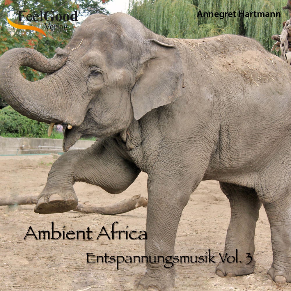 Entspannungsmusik Vol. 3 (Ambient Africa)
