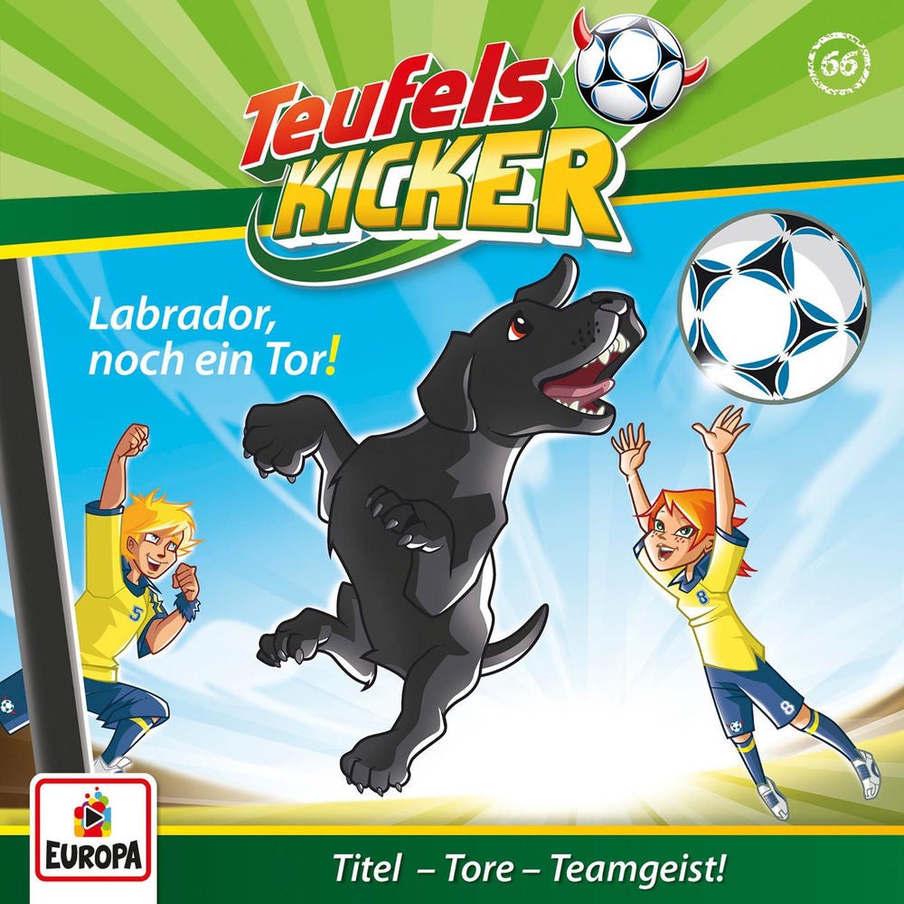066/Labrador, noch ein Tor!
