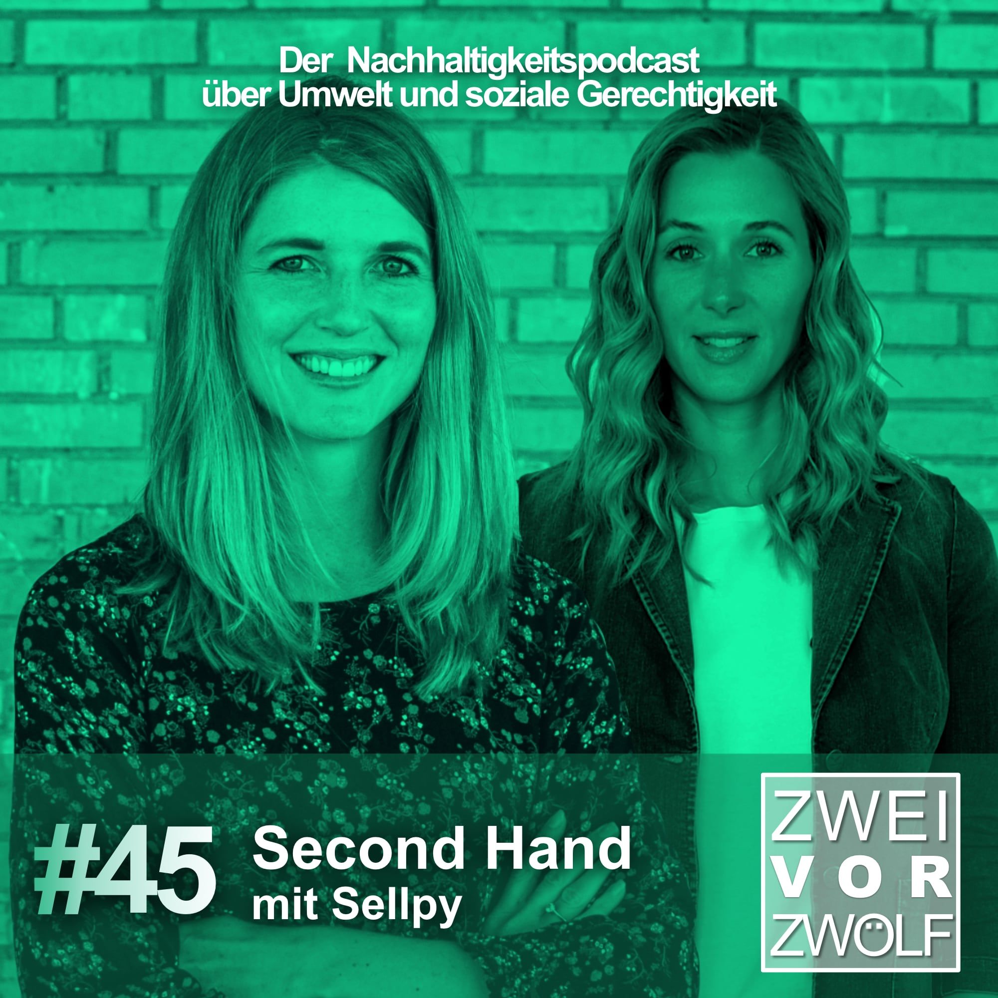 #45 Second Hand mit Sellpy
