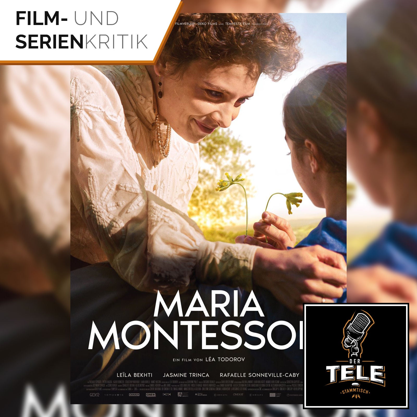 Maria Montessori | Ein Blick auf die Reformpädagogin