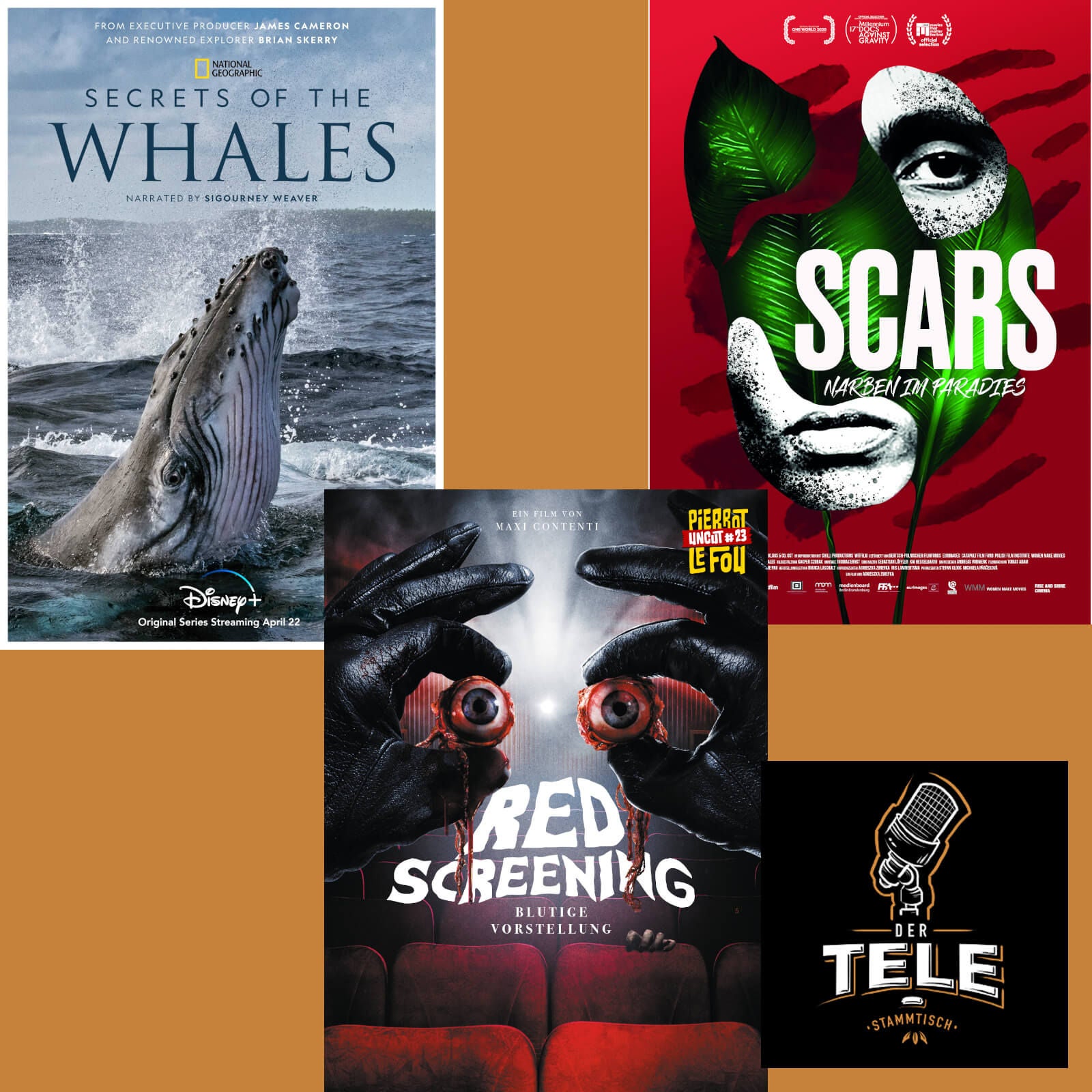 "Die geheimnisvolle Welt der Wale" (Disney+), "Red Screening" und "Scars"