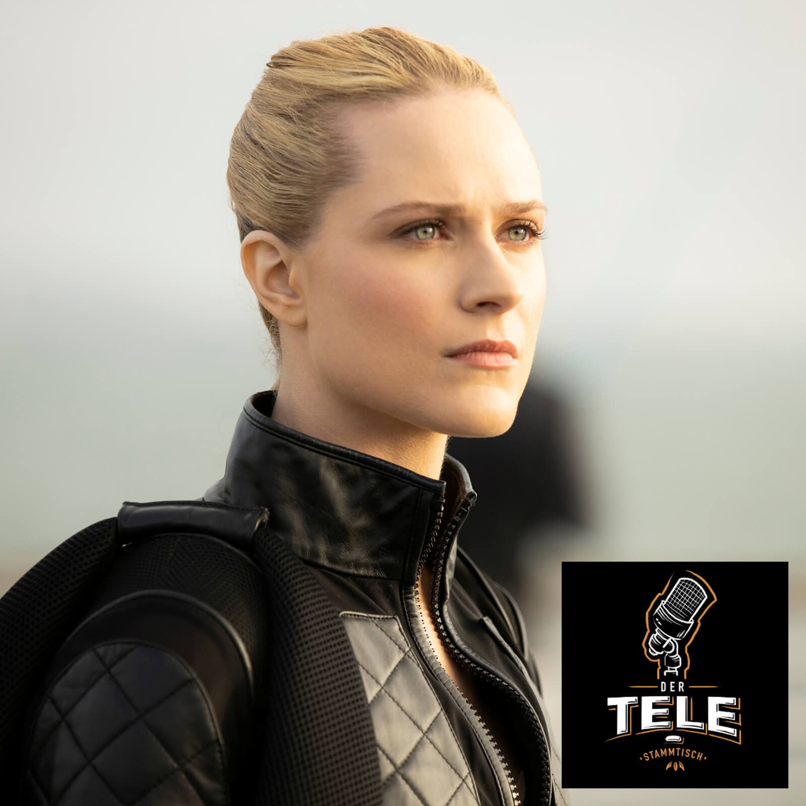 Westworld - Parce Domine (Staffel 3 Folge 1) - Recap