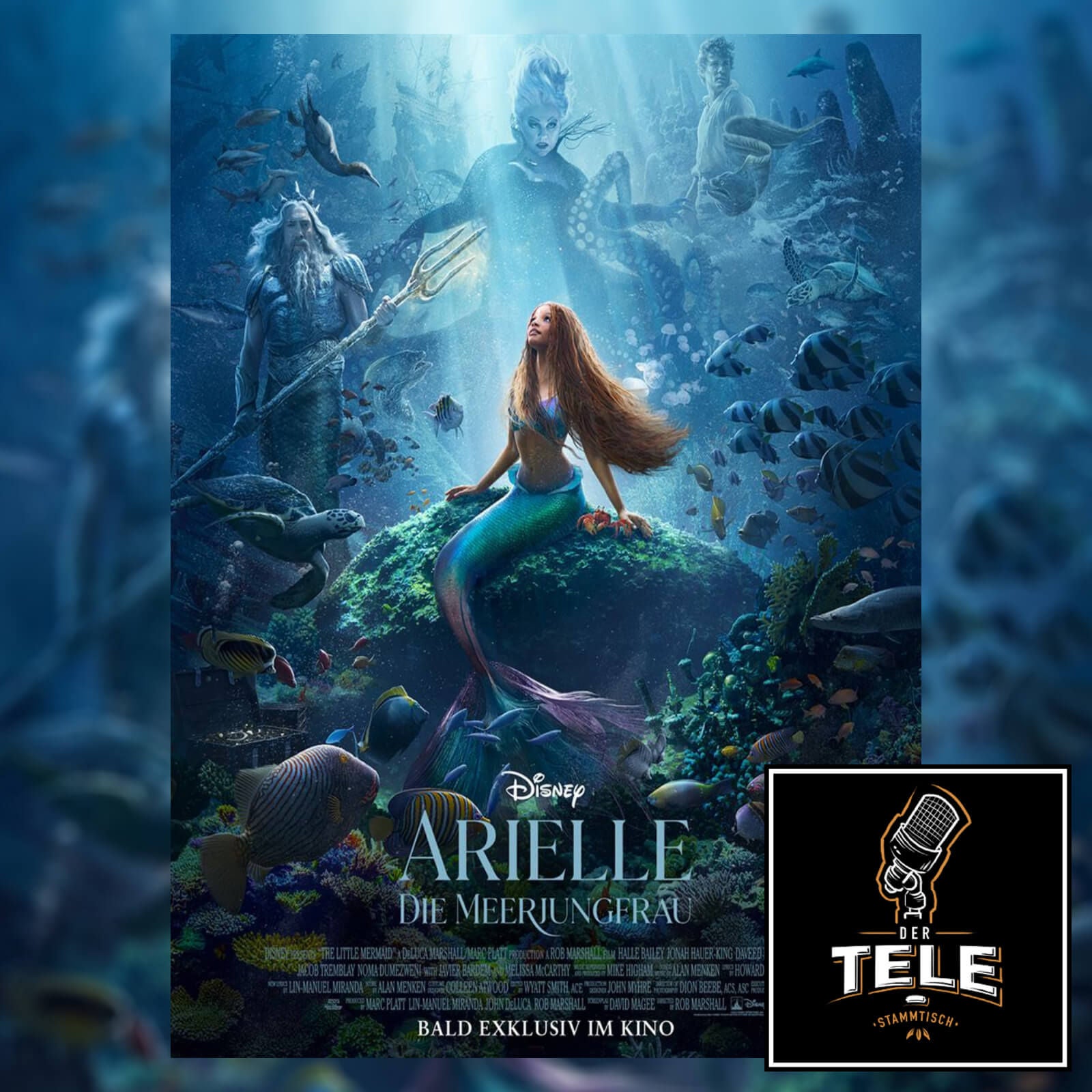 Arielle, die Meerjungfrau - Riecht es hier irgendwo nach altem Fisch?