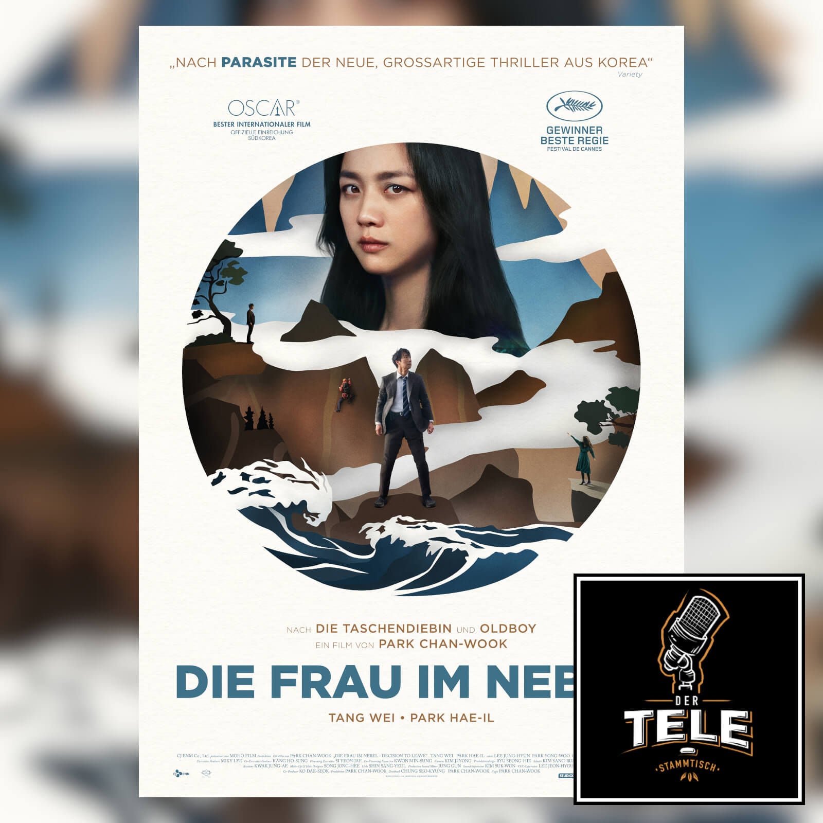 Die Frau im Nebel (Park Chan-wook)