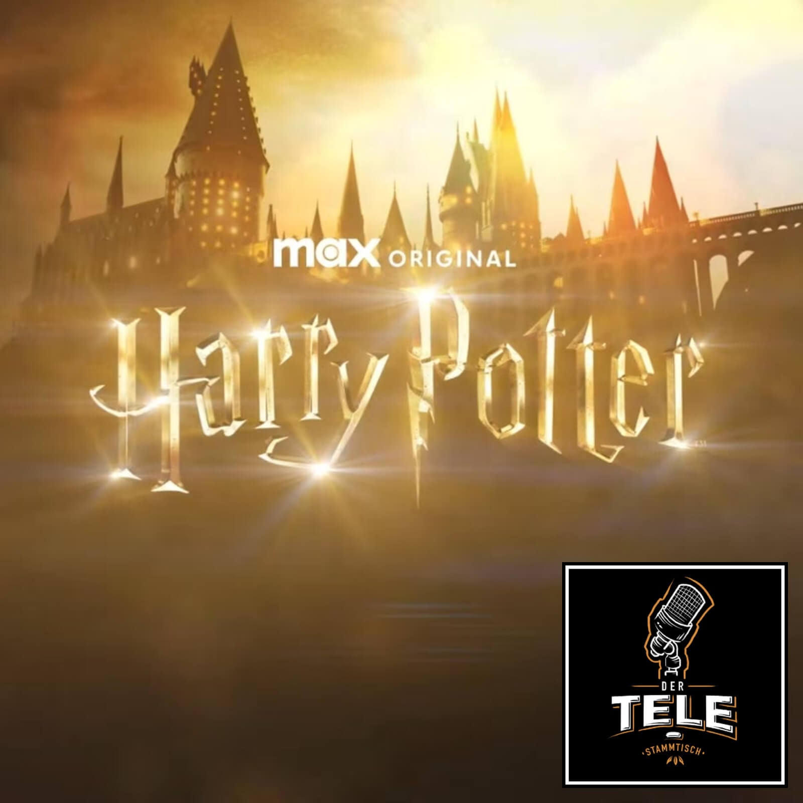 Harry Potter als Serie!: (K)eine gute oder gar nicht mal so schlechte Idee?