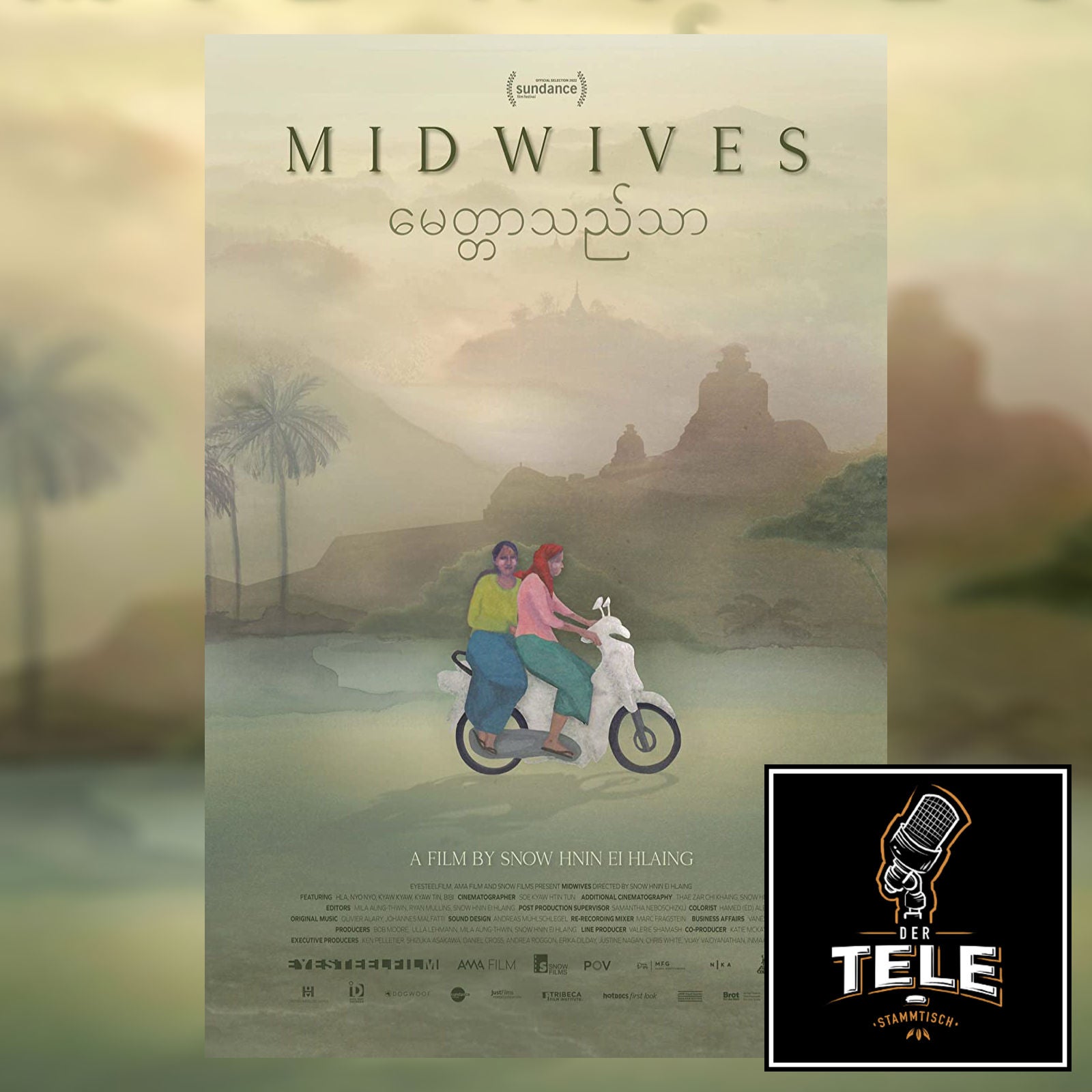 Midwives - Menschlichkeit gegen alle Widerstände