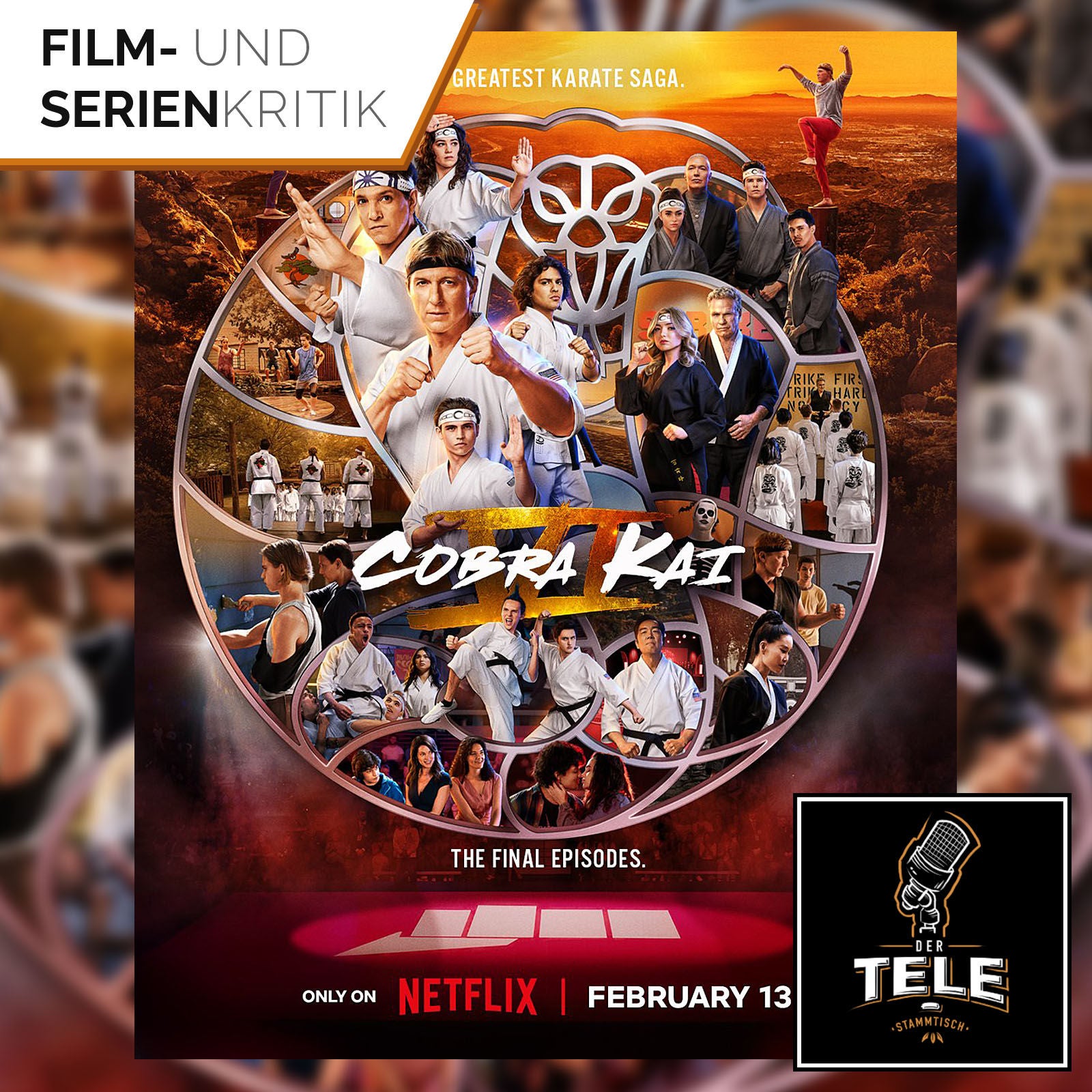 Cobra Kai (Netflix) - Serienfazit | Seifenoper mit schwarzem Gürtel