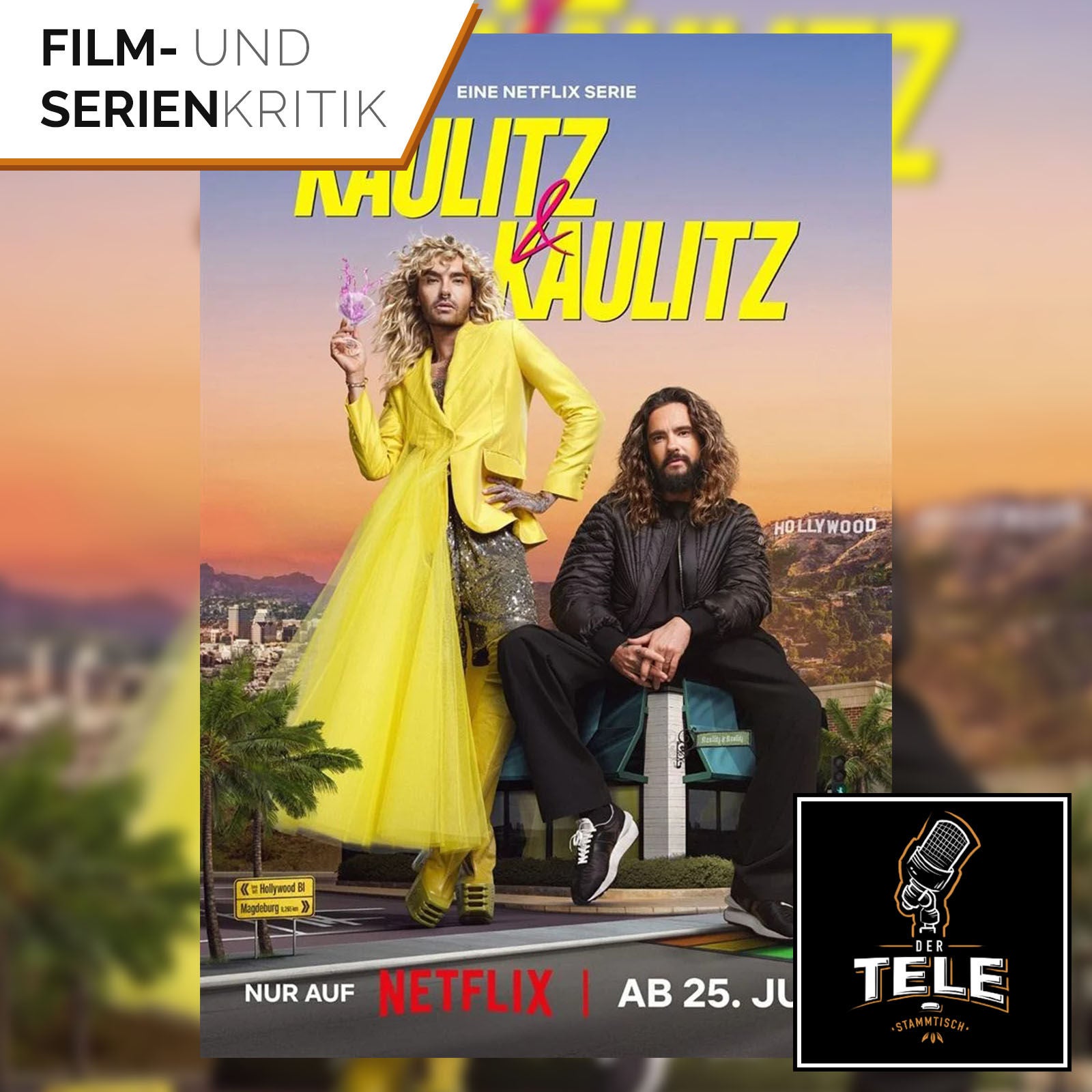 Kaulitz & Kaulitz (Netflix) | Reality Soap und Markenpflege