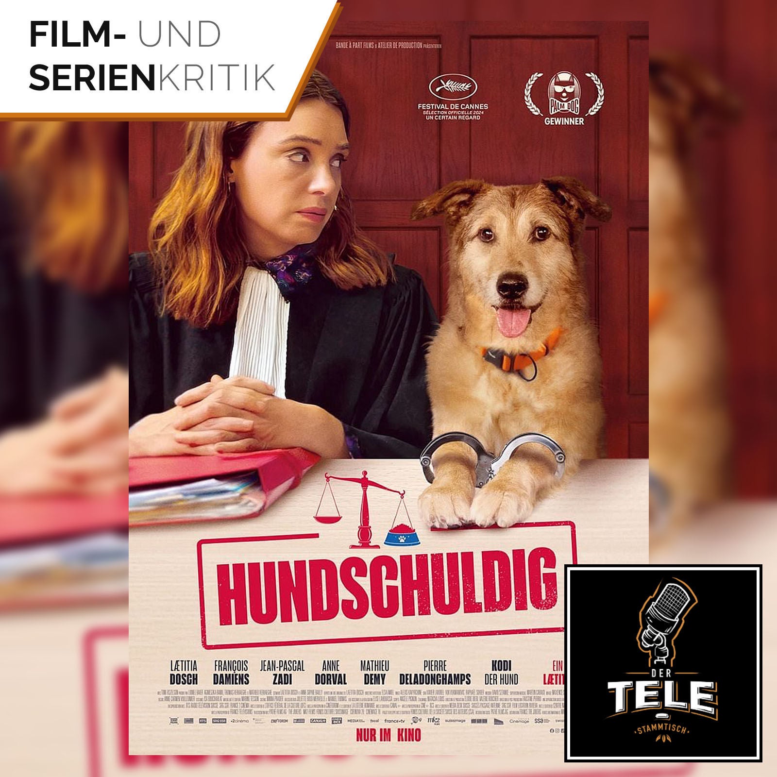 Hundschuldig | Der Angeklagte, der mit dem Schwanz wedelte
