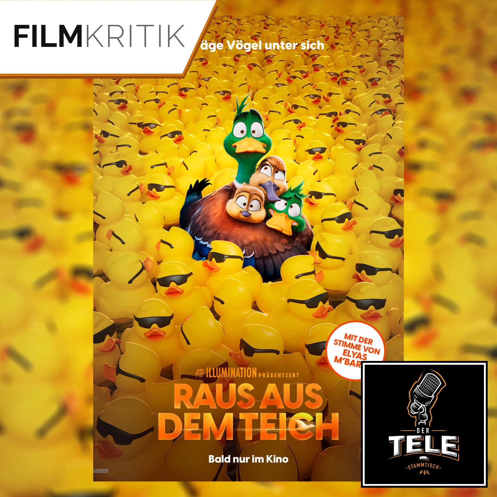 Raus aus dem Teich | Die entigen Vier auf Achse