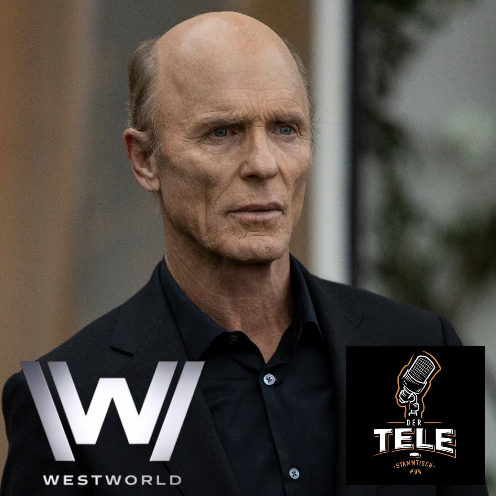 Westworld - Die Mutter der Exilanten (Staffel 3 Folge 4) - Recap