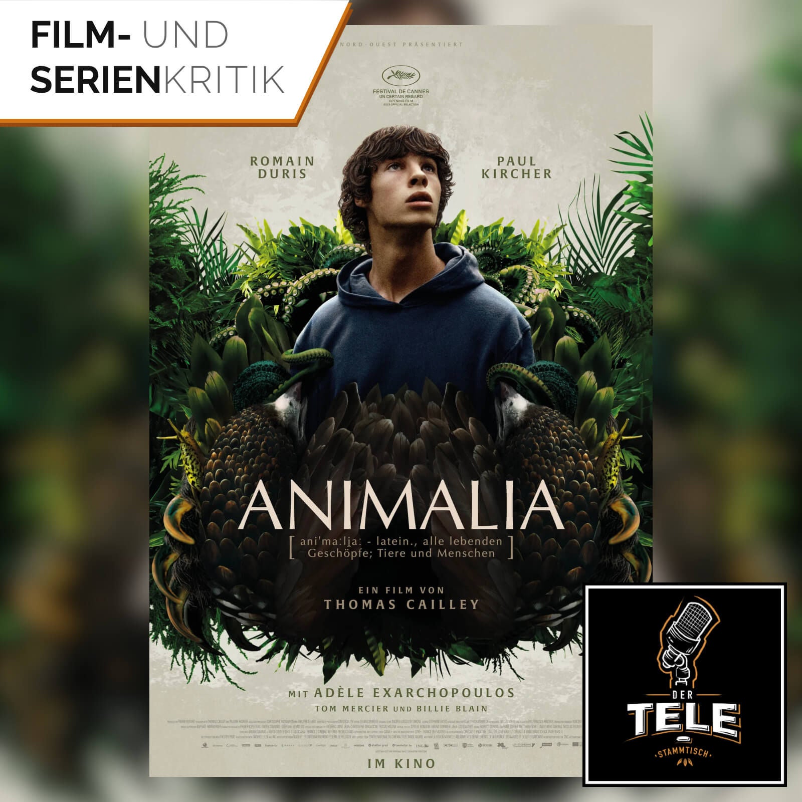 Animalia | Tierisch guter Geheimtipp