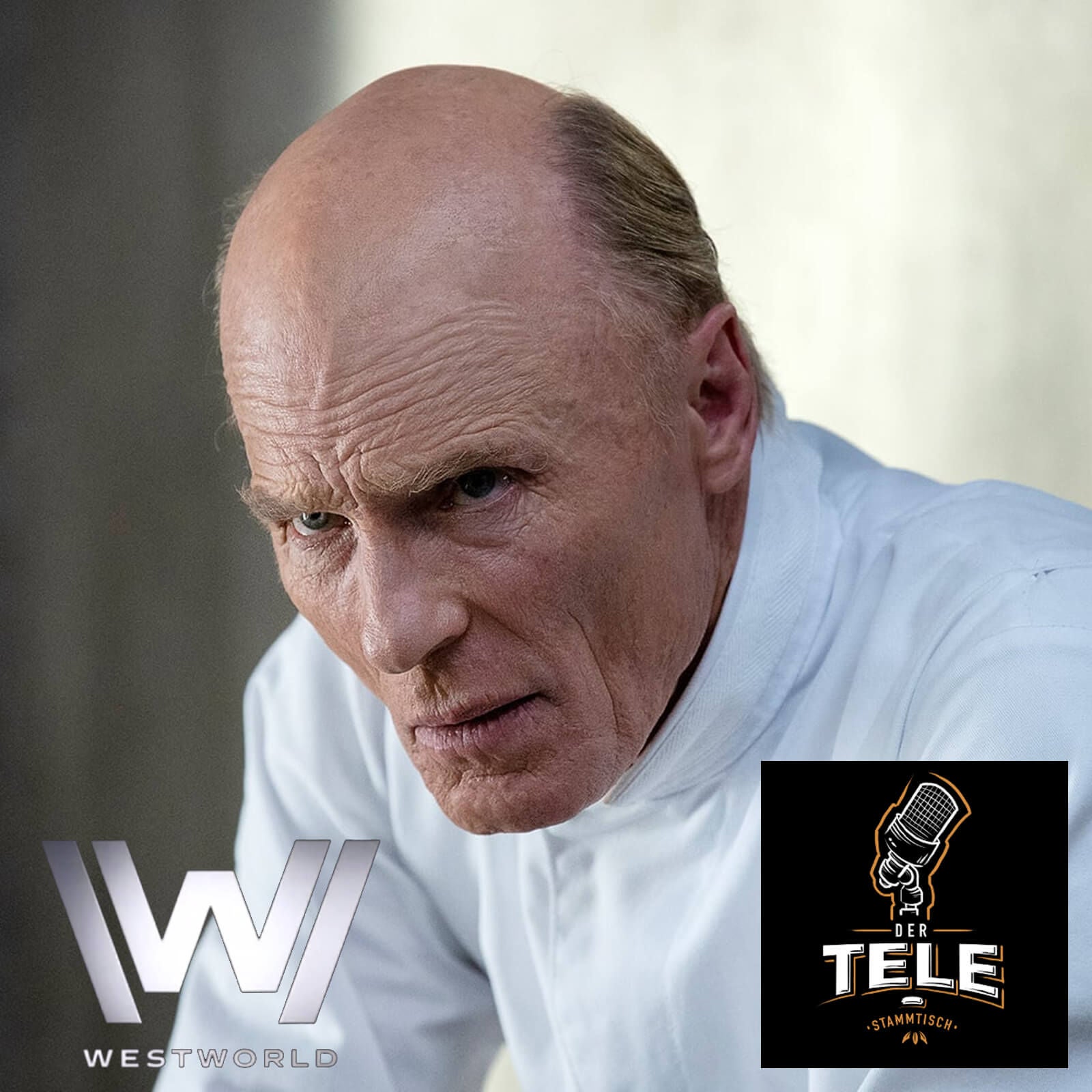 Westworld - Dekohärenz (Staffel 3 Folge 6) - Recap