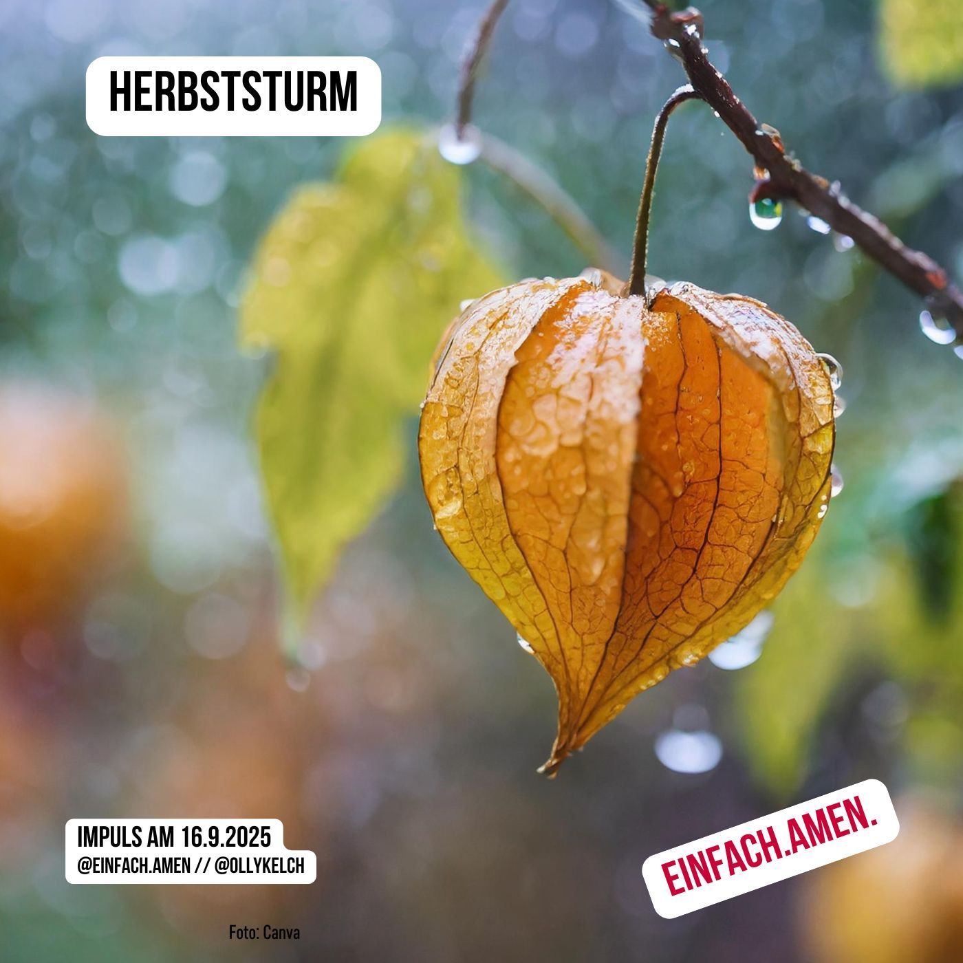 Herbststürme (16.9.2025)