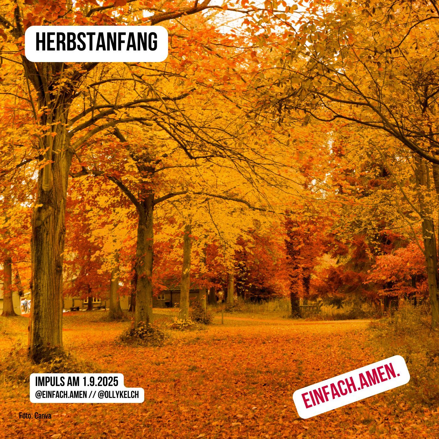 Herbstanfang (1.9.2025)