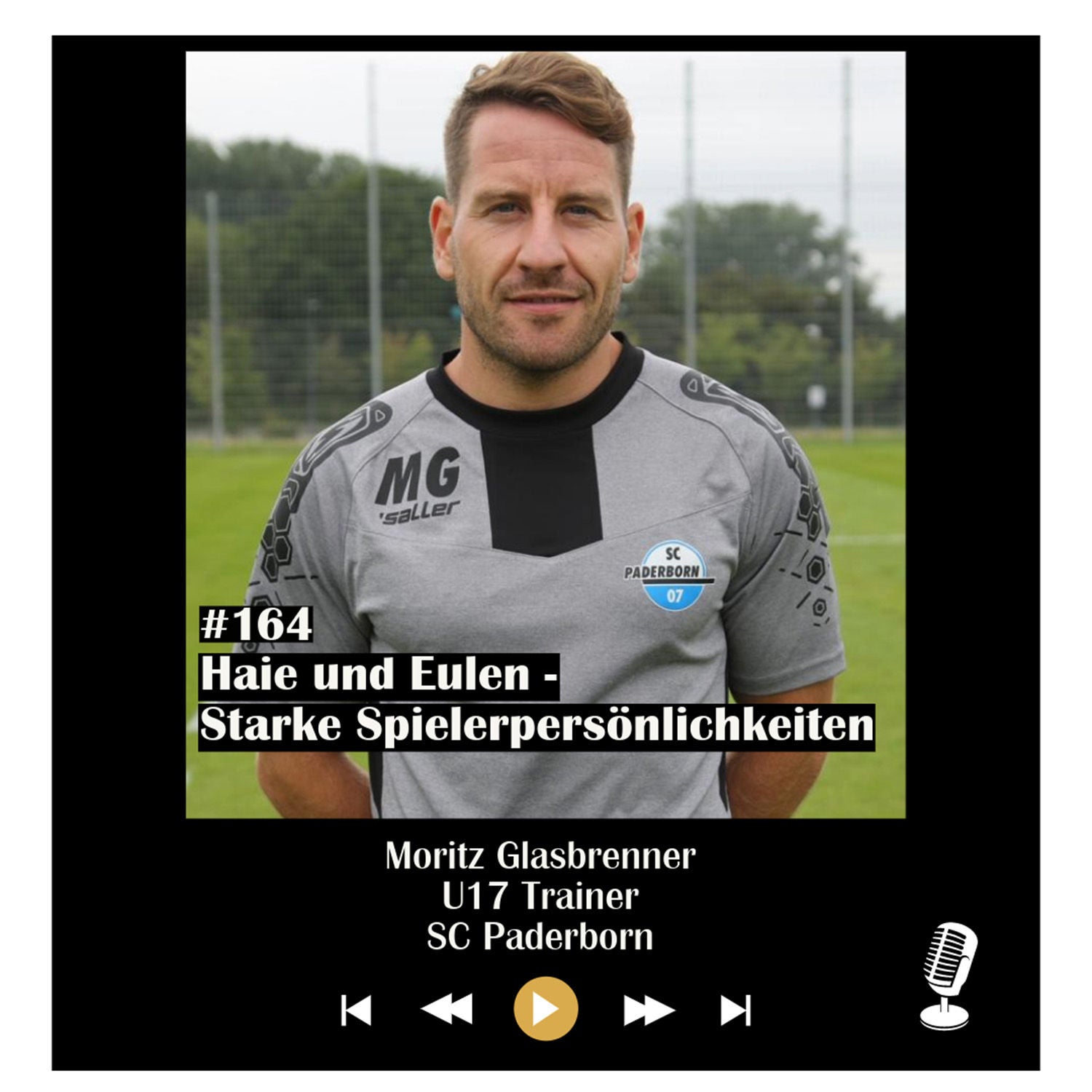 #164 Haie und Eulen - Starke Spielerpersönlichkeiten - mit Moritz Glasbrenner